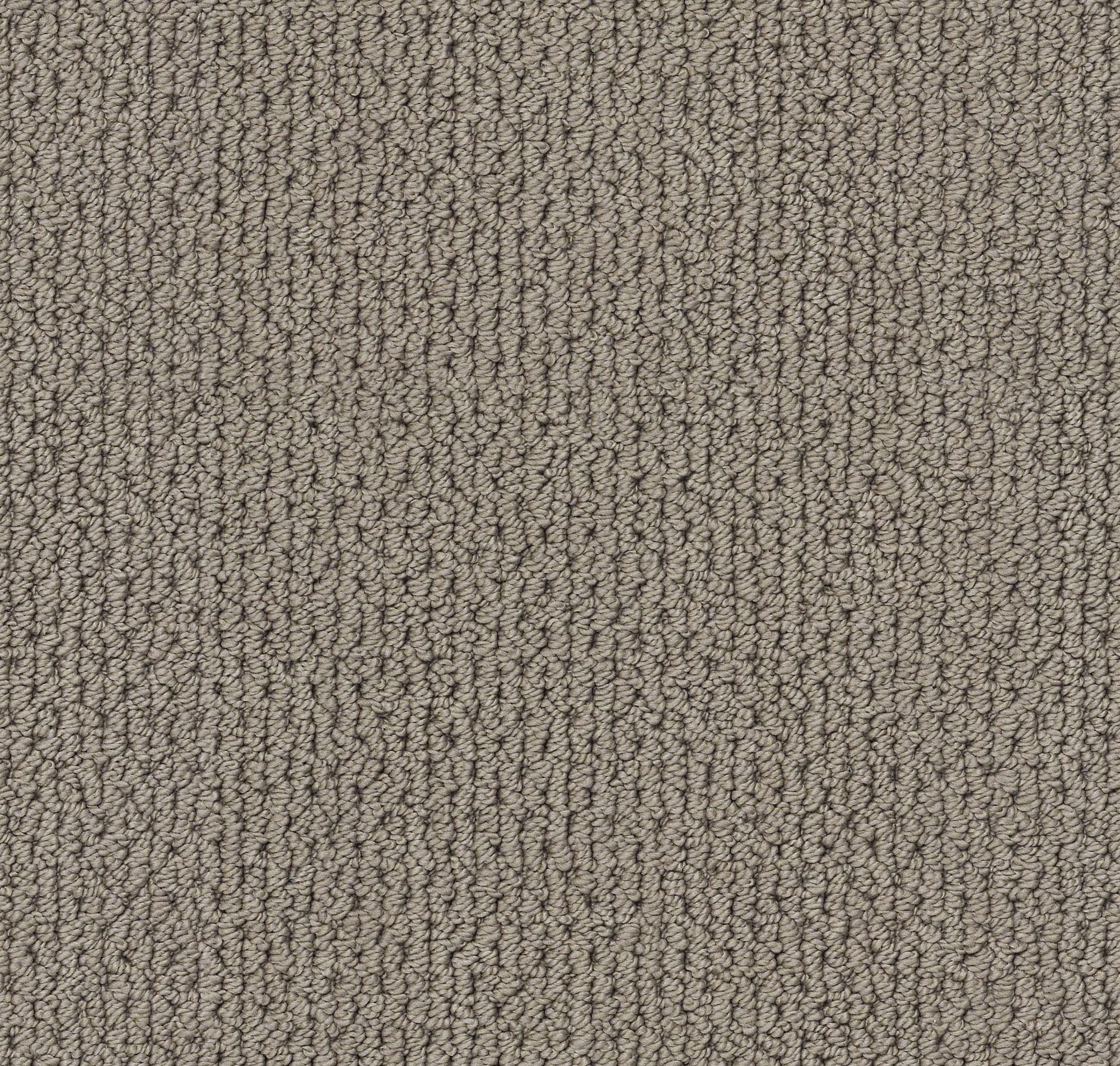 STAINMASTER 7L87300577 Regenerating Pewter Gray 34.1-oz sq yard Nylon Level loop Indoor Carpet