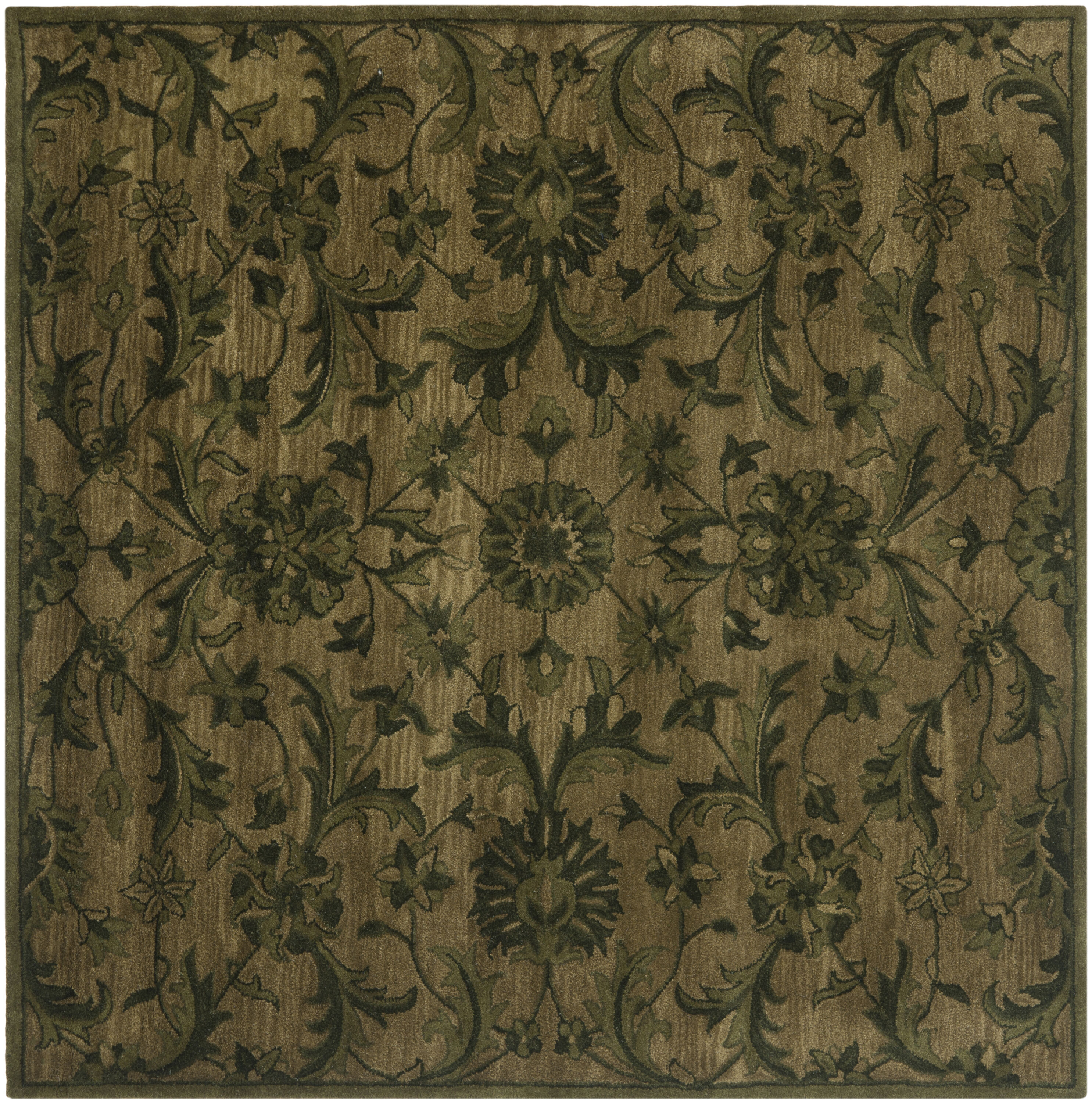 Safavieh AT824A-6SQ rugs - View #2