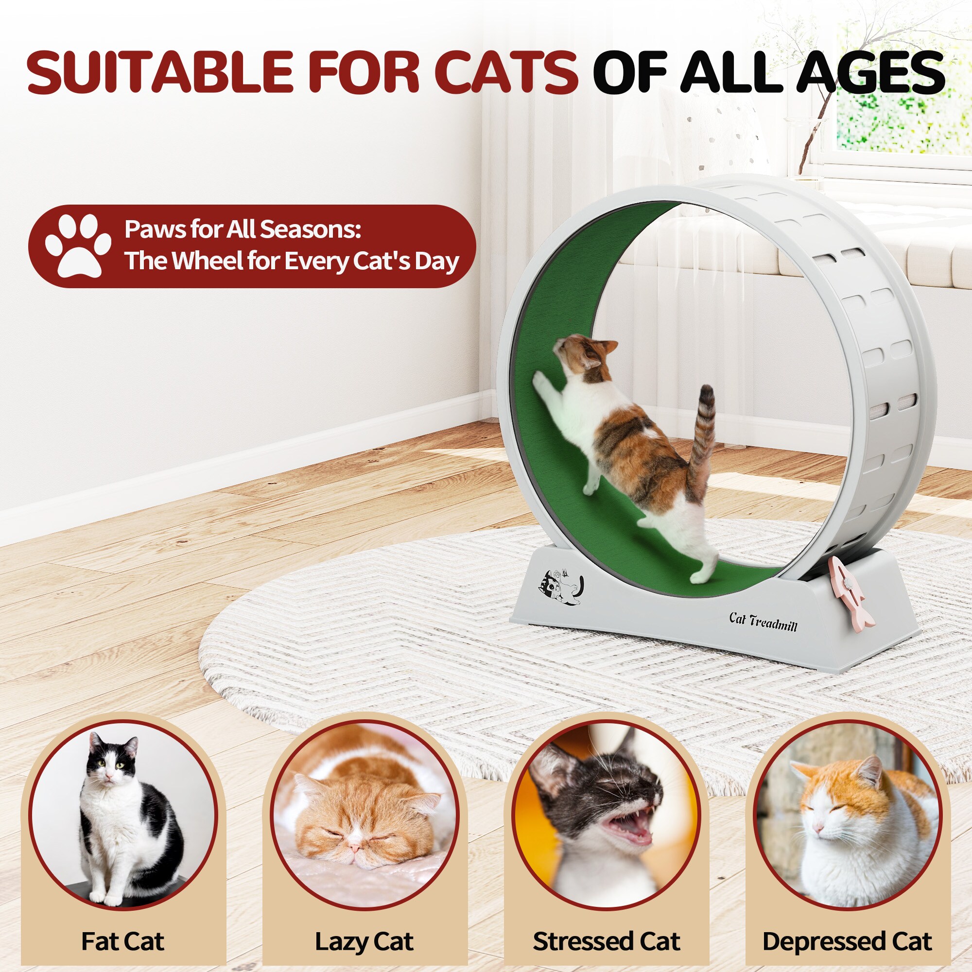 Coziwow CW12X0556-L02 Dog-Toys - View #6