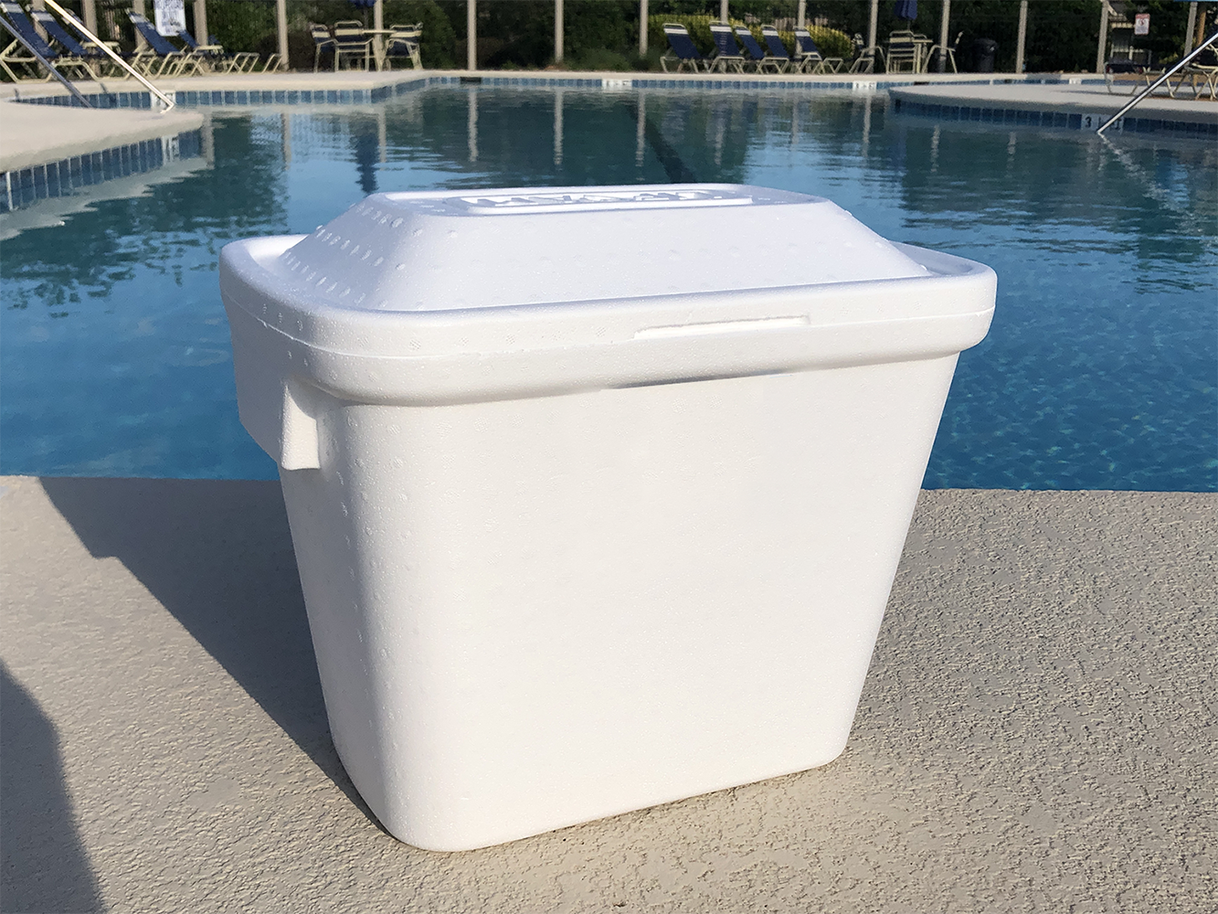 Insulated Styrofoam Cooler (12.25x12.25x12) by ASC, Inc.