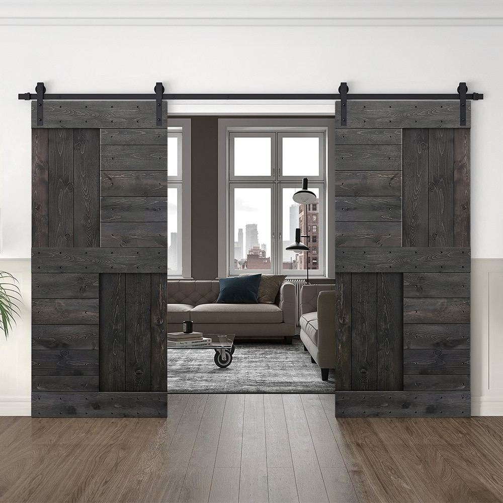 CALHOME MK-72(2+N1-36DT(2+CN Barn-Doors - View #2