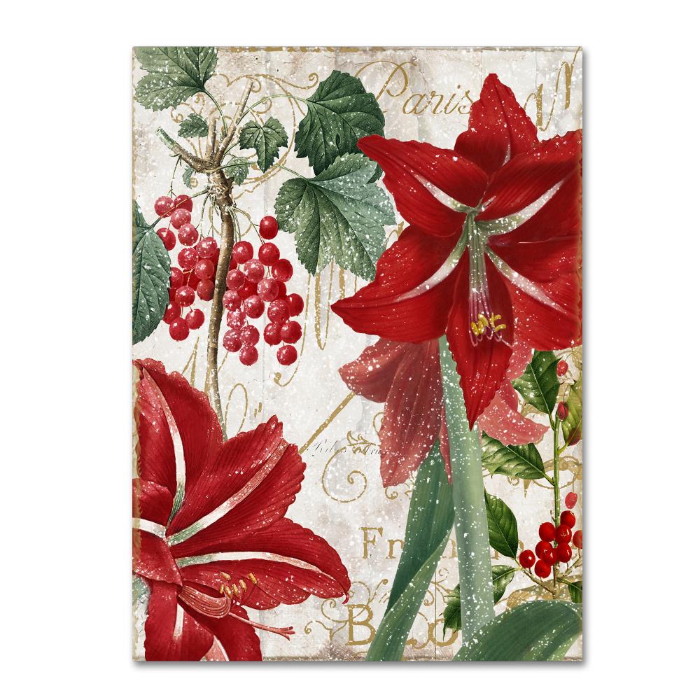 Trademark Fine Art ALI4846-C1419GG Framed 19-Inches H x 14-Inches W Floral Canvas Print