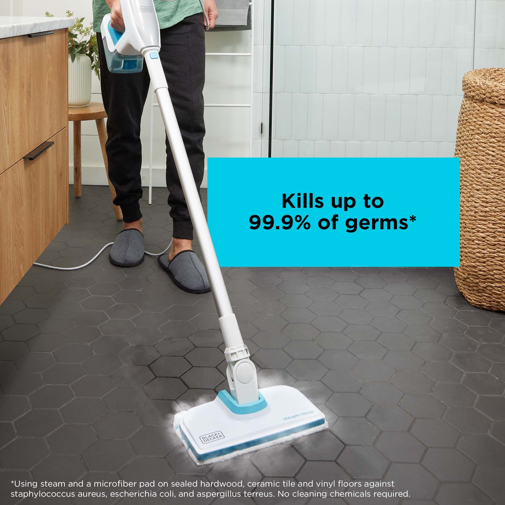 BLACK+DECKER 20-ft 1-Speed Upholstery Garment Multipurpose Steam Cleaner