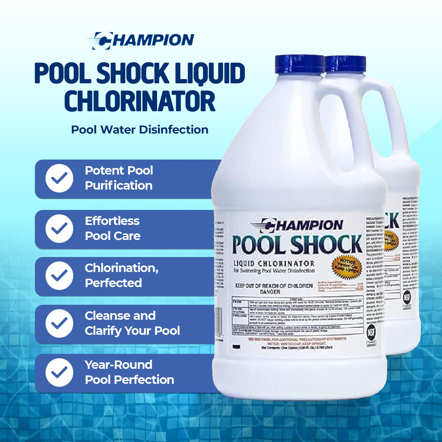 CHAMPION 397110 Chlorinating-Tabs - View #3