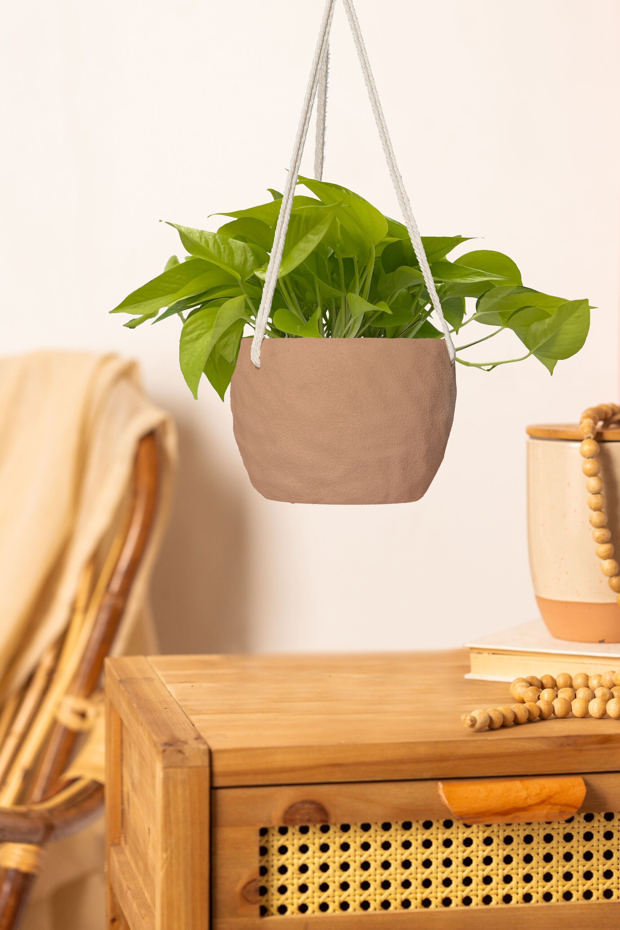 Buy Wall Plant Hanger Mini Set of 2, Wall Hook for Hanging Plants, Small Plant  Hanging, Hanging Plant Holder, Wooden Plant Hook, Plant Holder Online in  India 