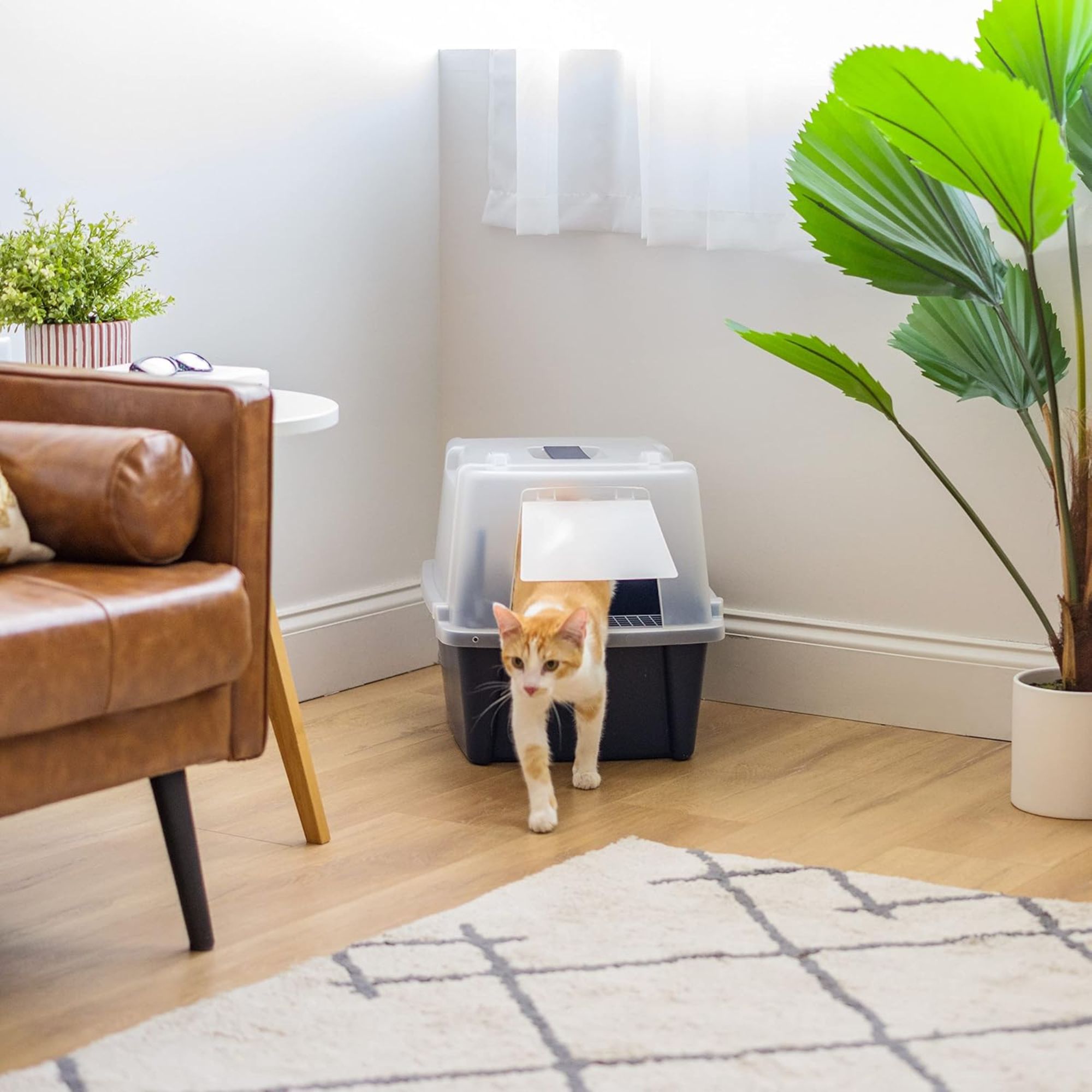 IRIS USA 418614 Cat-Litter-Box - View #4