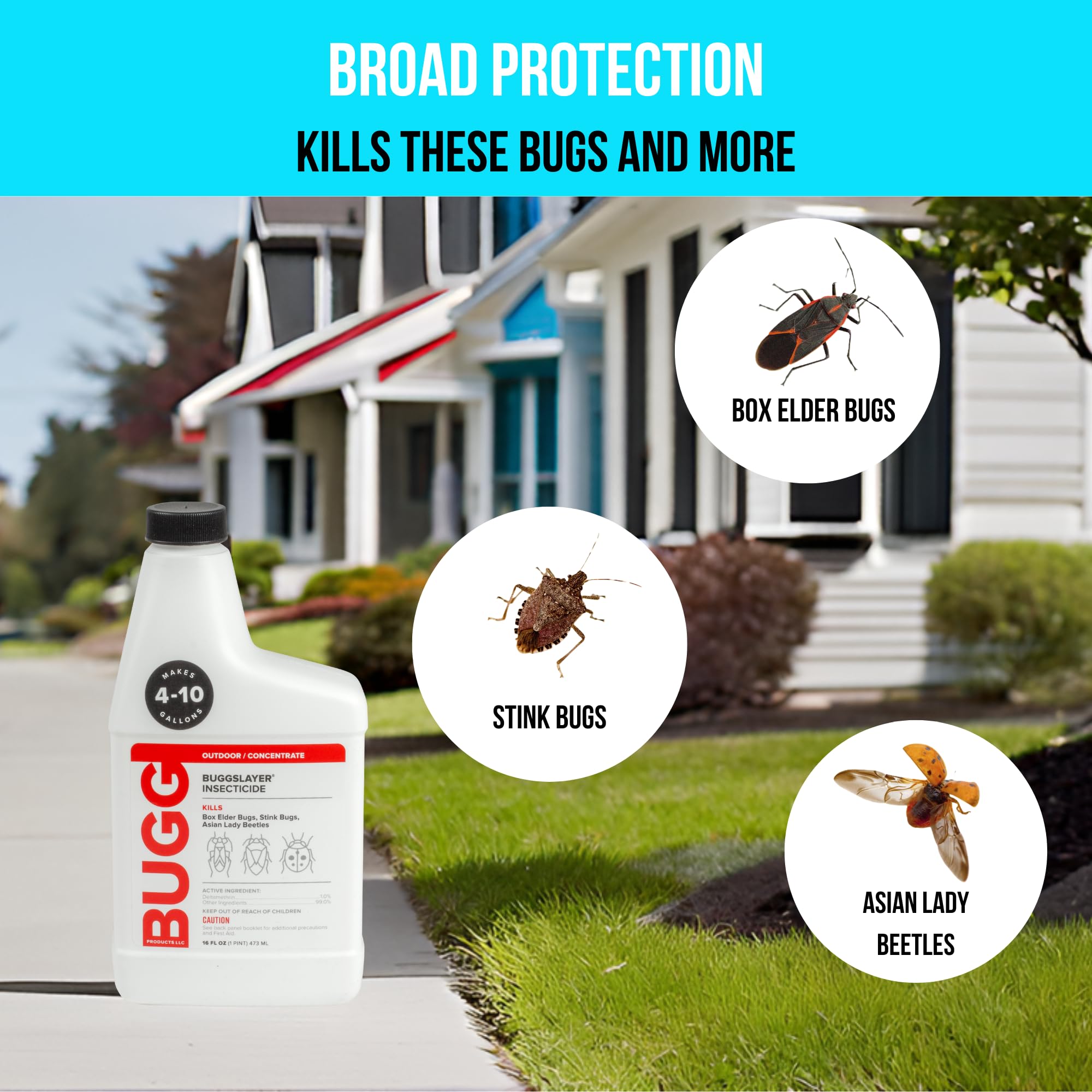 EPIC BUGGSLAYER Insecticide Concentrate 16 fl oz - Outdoor Barrier for ...