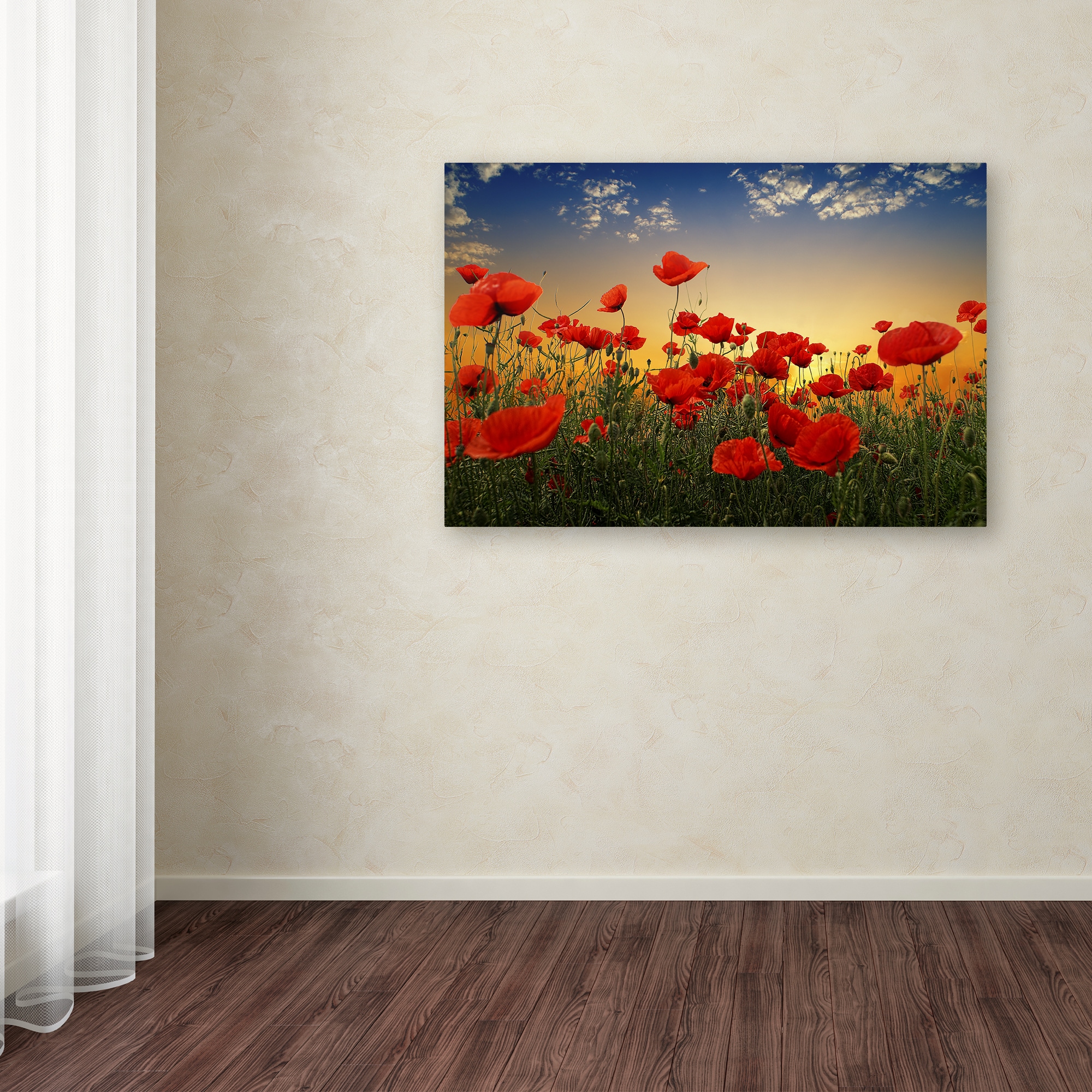 Trademark Fine Art 1X02014-C2232GG Albena Markova "Poppies" 22x32 Canvas Art Albena Markova Multicolor 22-Inches H x 32-Inches W Floral Canvas Print
