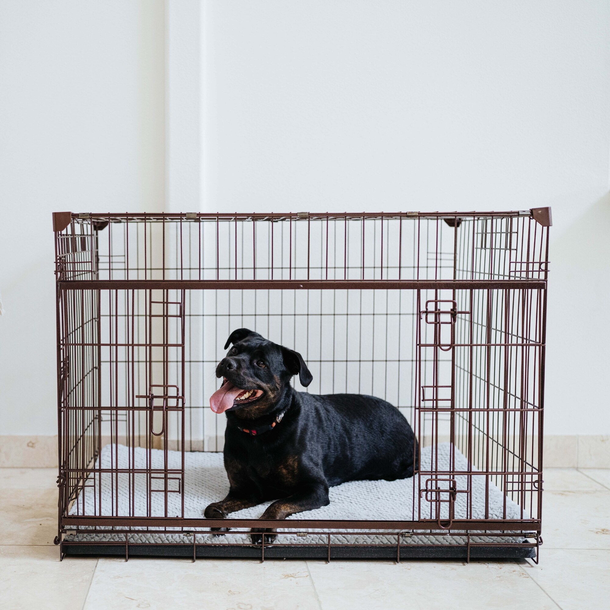 Lucky Dog ZW51542-UR1510 Pet-Crates-Carriers - View #9