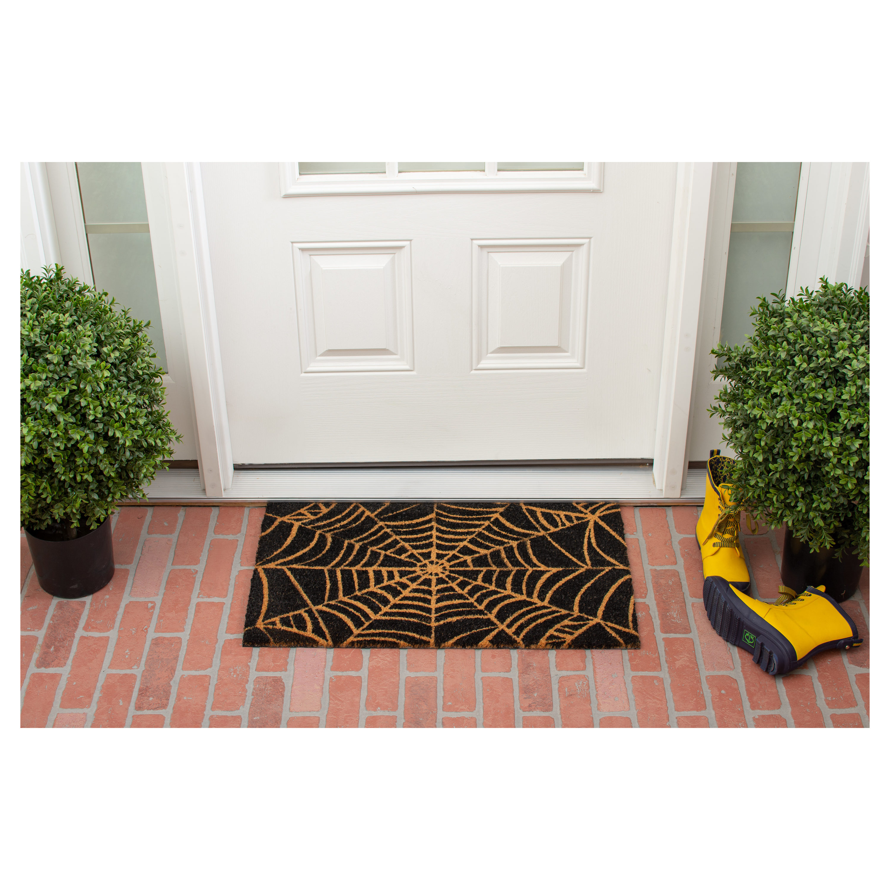 Natural and Black Coir Spider Web Outdoor Doormat 17" x 29"