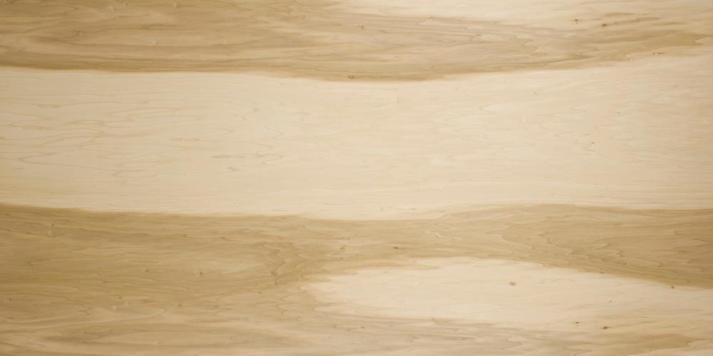  196700 3/4-in x 4-ft x 8-ft Poplar Sanded plywood