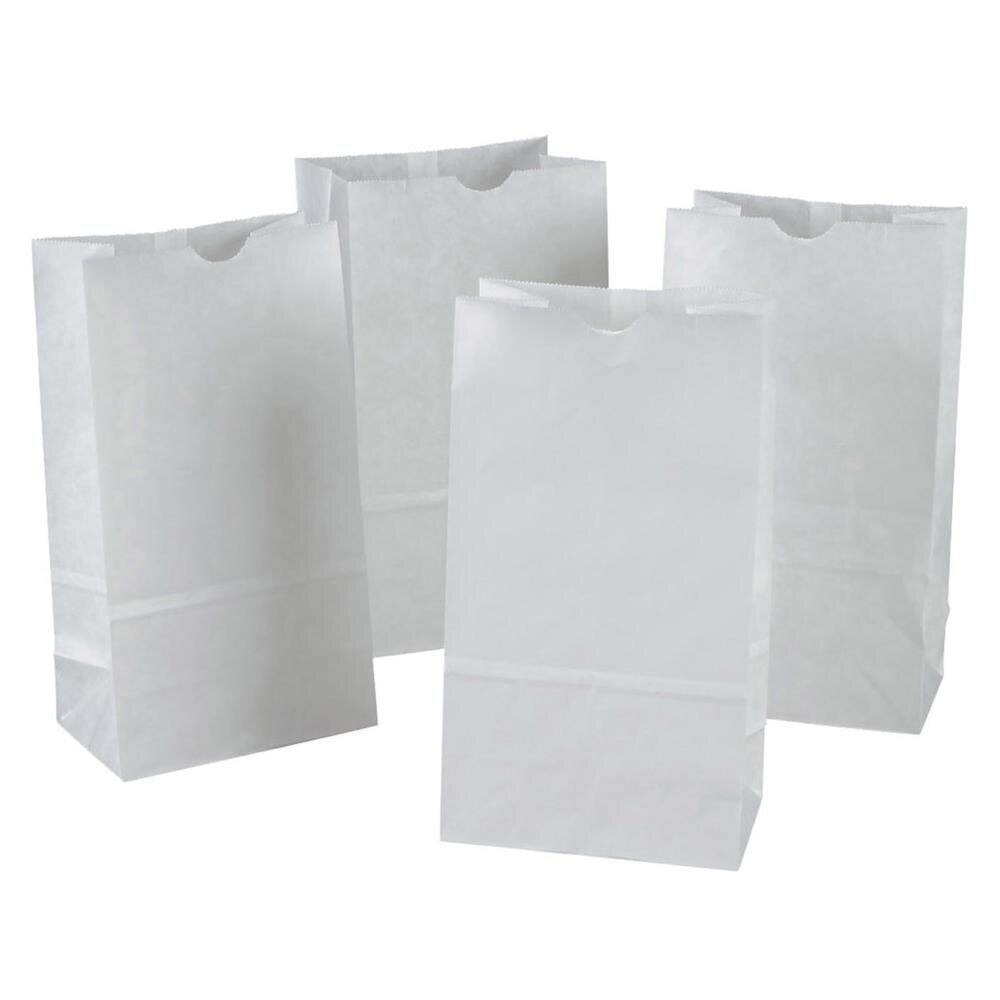 Rainbow PAC72020 100-Pack Kraft Paper Paper Bags