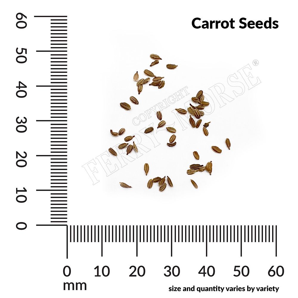 Ferry-Morse LC25.2932 Vegetable-Herb-Seeds - View #4