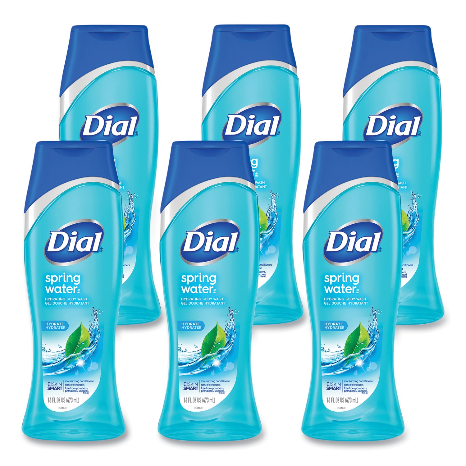 Dial ESNDIA02653 Spring Water Body Wash  Spring Water Scent  16 oz  6 Carton