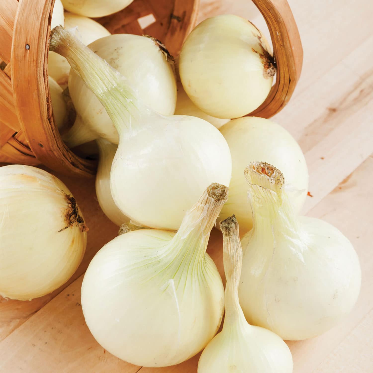 Van Zyverden 84559 White Onion Sets White Bulbs 250 Count