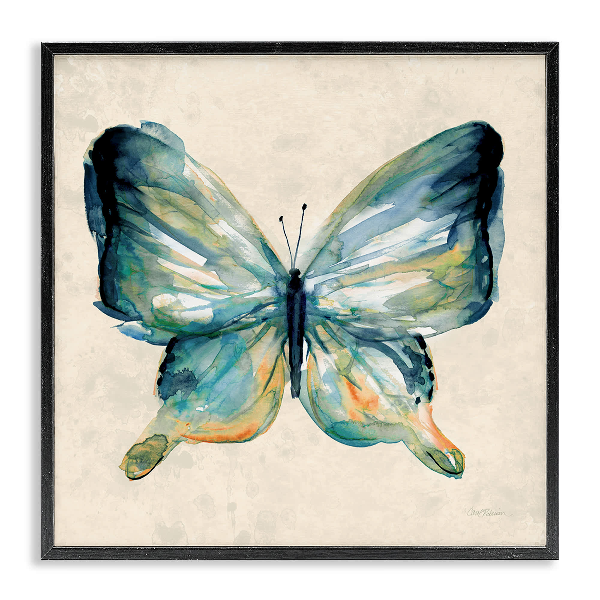 Stupell Industries BS-249-FR-17X17 Bold Butterfly in Green Black Framed Giclee Art By Carol Robinson 17 x 17