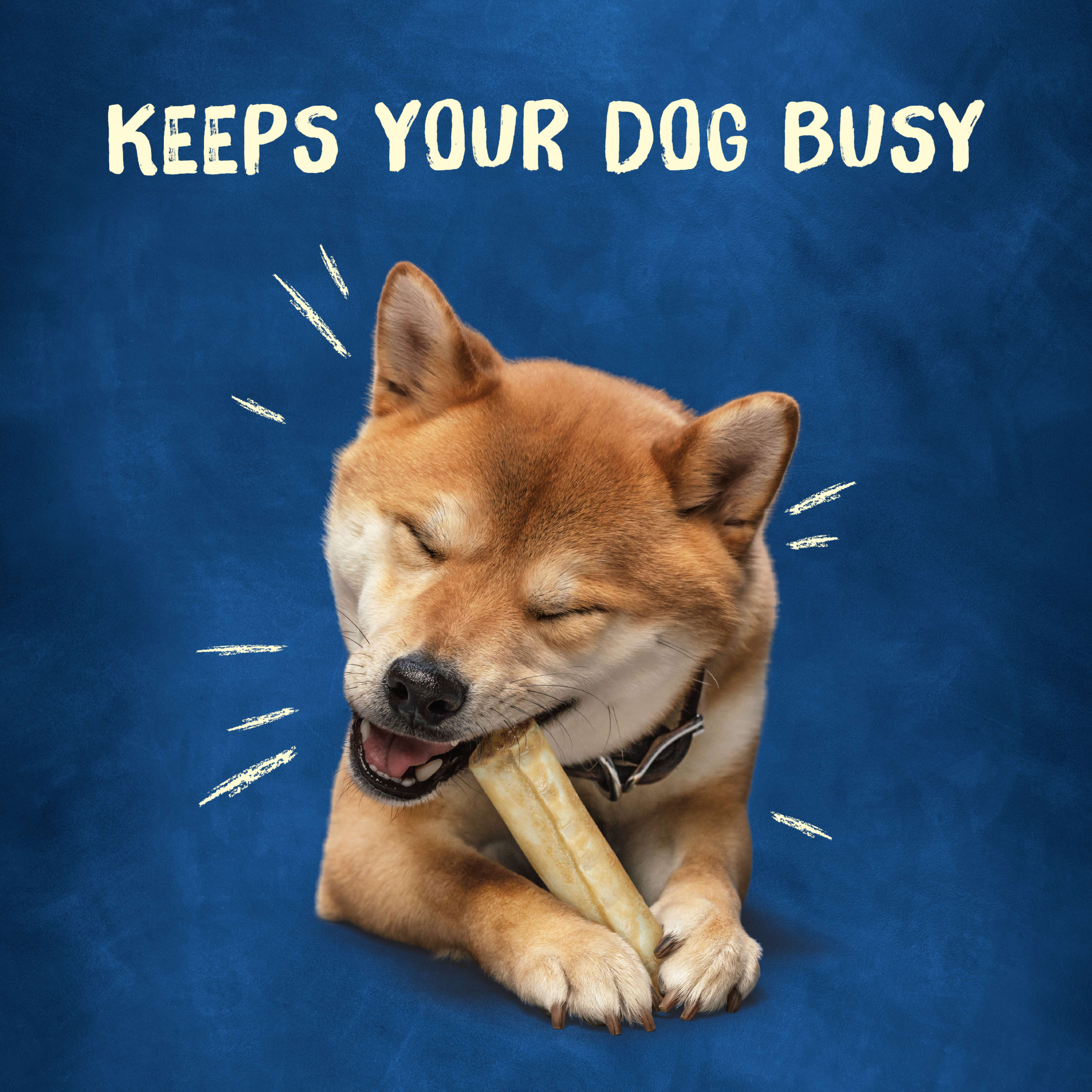 Nestle Purina 007000212996 Dog-Treats - View #2