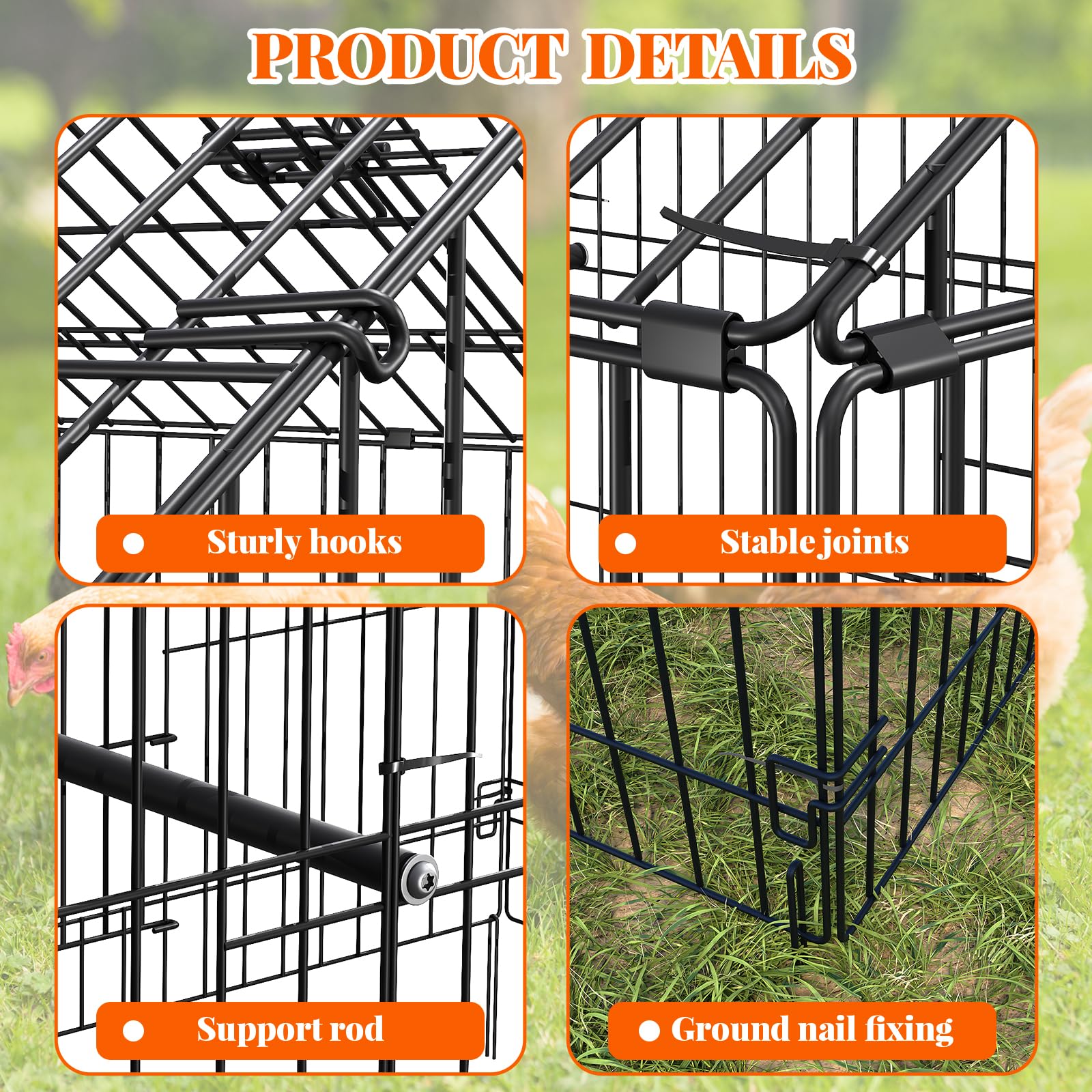 DEXSO ENCOREPHOBA3541 Chicken-Coops-Rabbit-Hutches - View #5