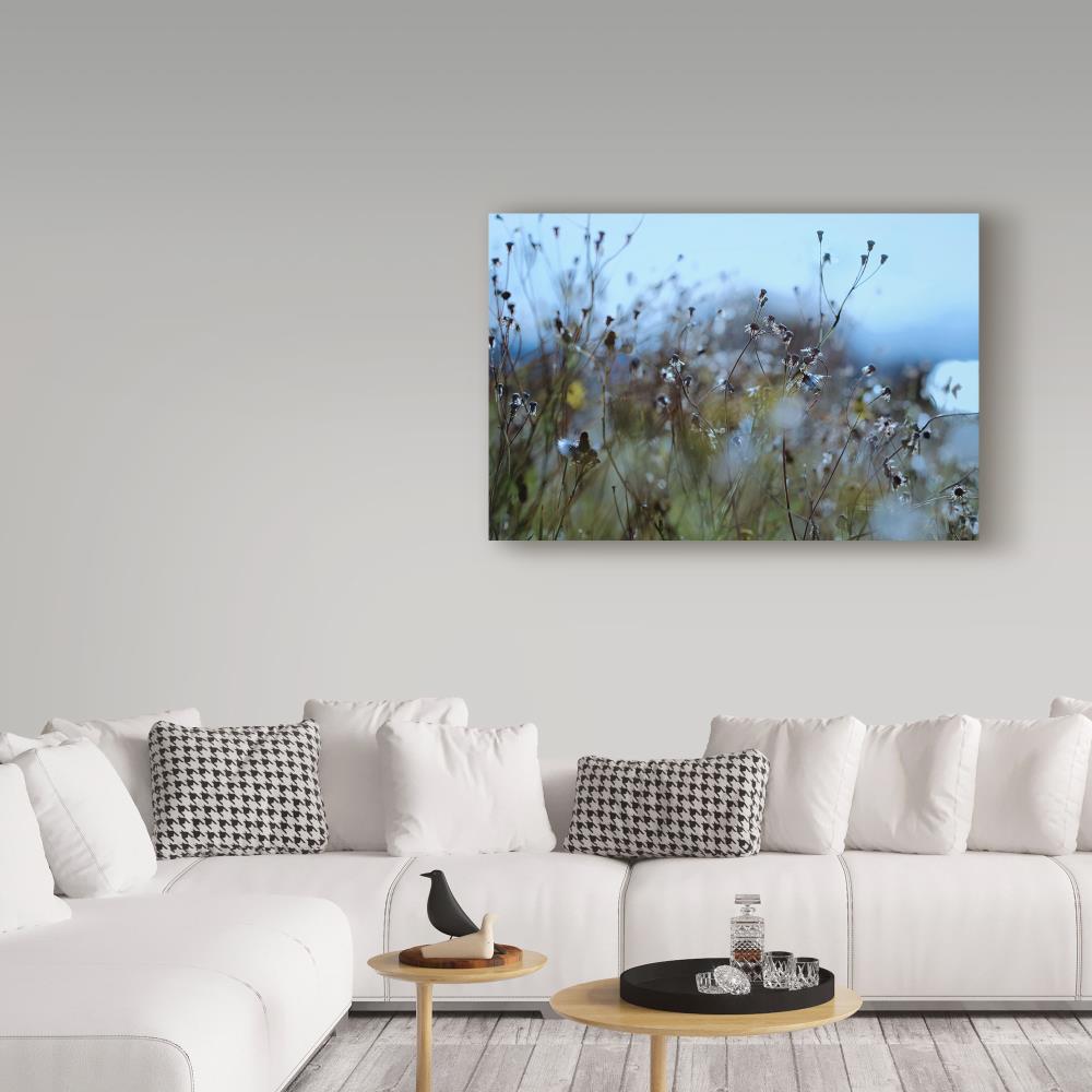 Trademark Fine Art BC00320-C2232GG Wall-Art - View #3