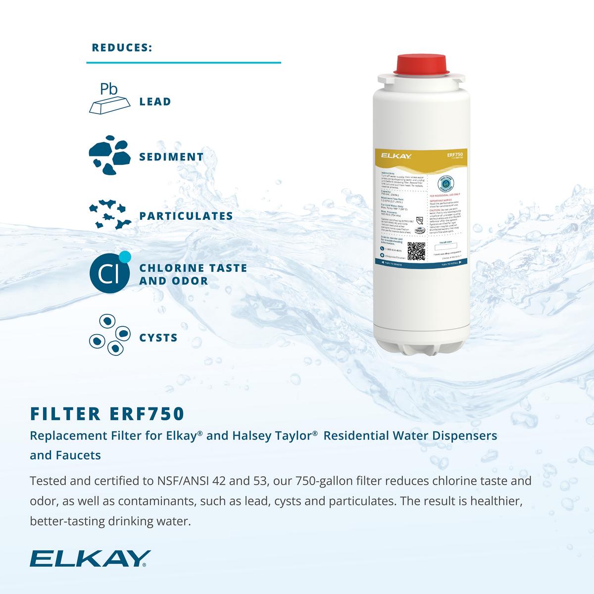 Elkay WaterSentry Plus Residential Replacement Filter Carbon Block ...