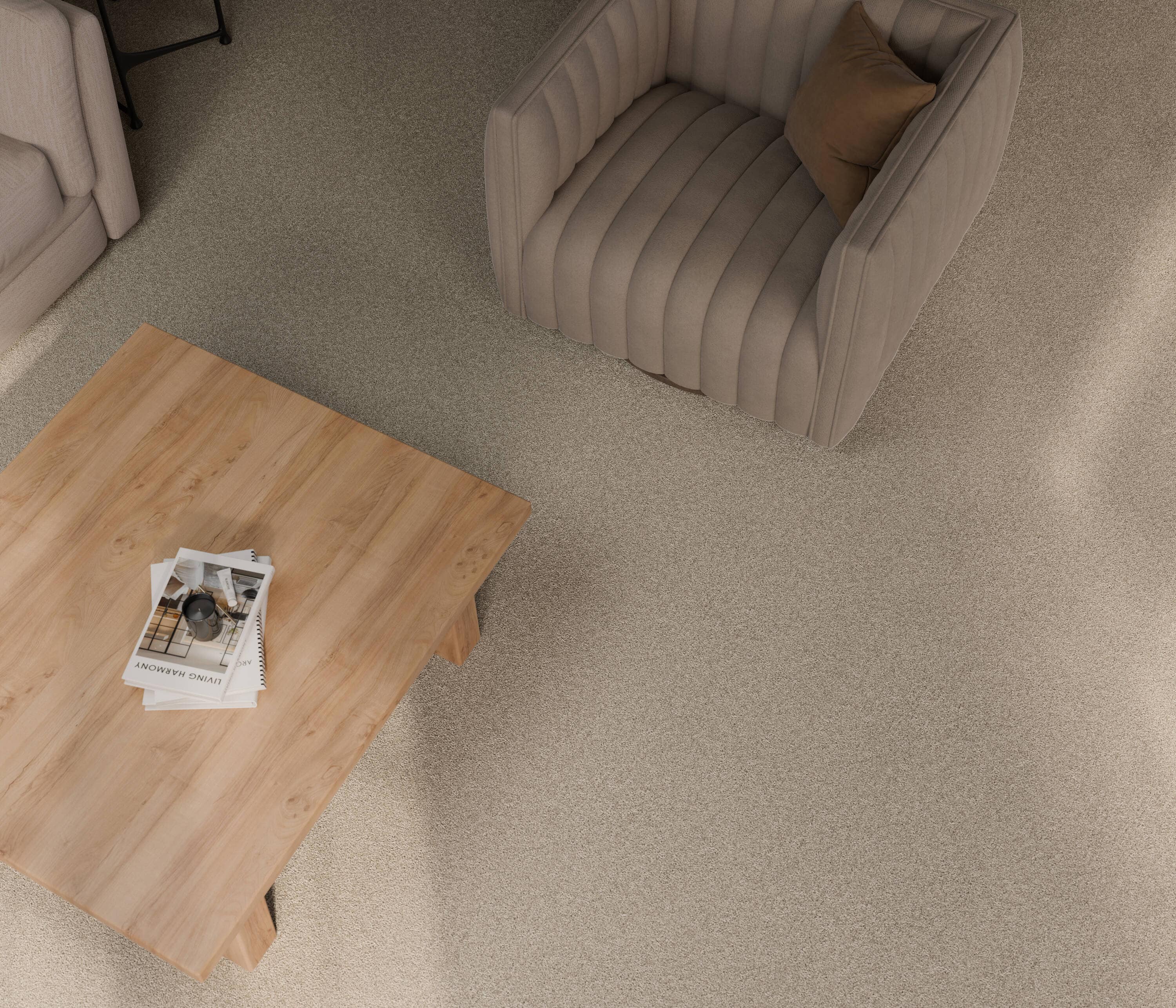 STAINMASTER PetProtect 7L974-700-SAMP Carpet-Samples - View #5