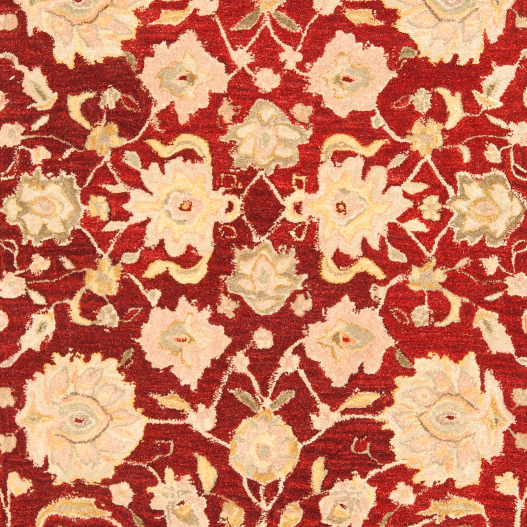 Safavieh AN522D-5 rugs - View #8