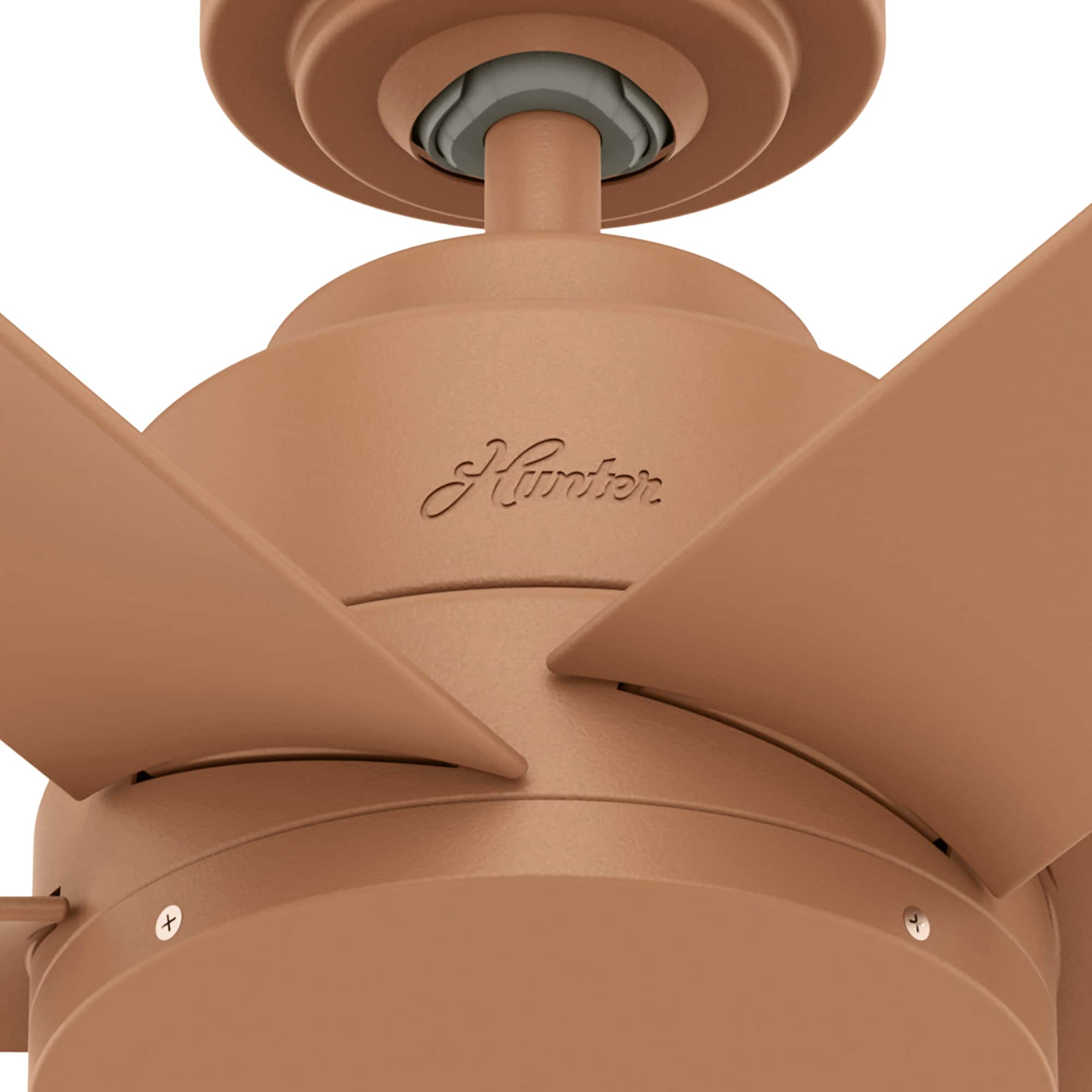 Hunter 51468 Ceiling-Fans - View #9
