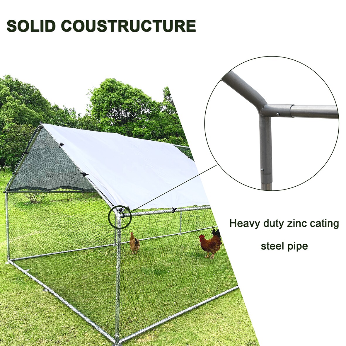 Gaierptone B230517-12 Chicken-Coops-Rabbit-Hutches - View #9