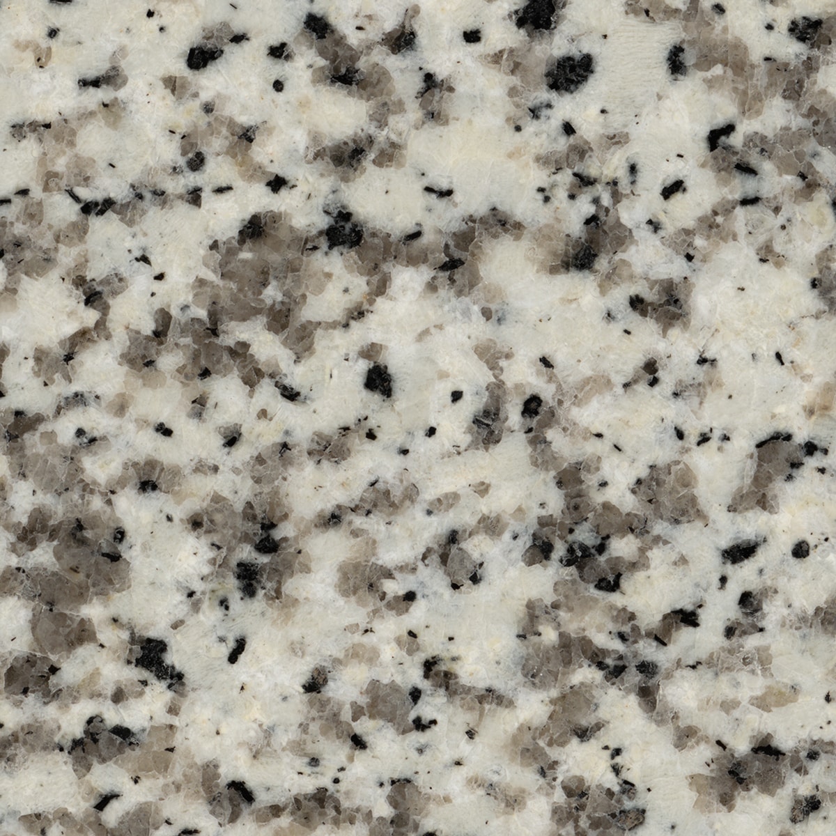 Allen Roth Peppered Ash Granite Gray Kitchen Countertop Sample 4 In