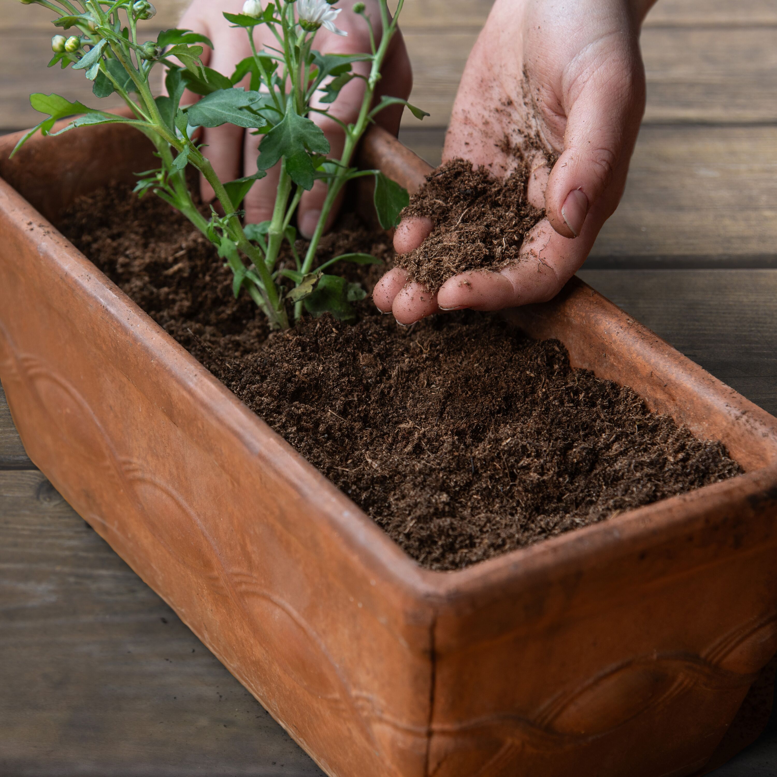 Black Gold 2.2 Cubic feet All-purpose Organic Potting soil mix in the ...