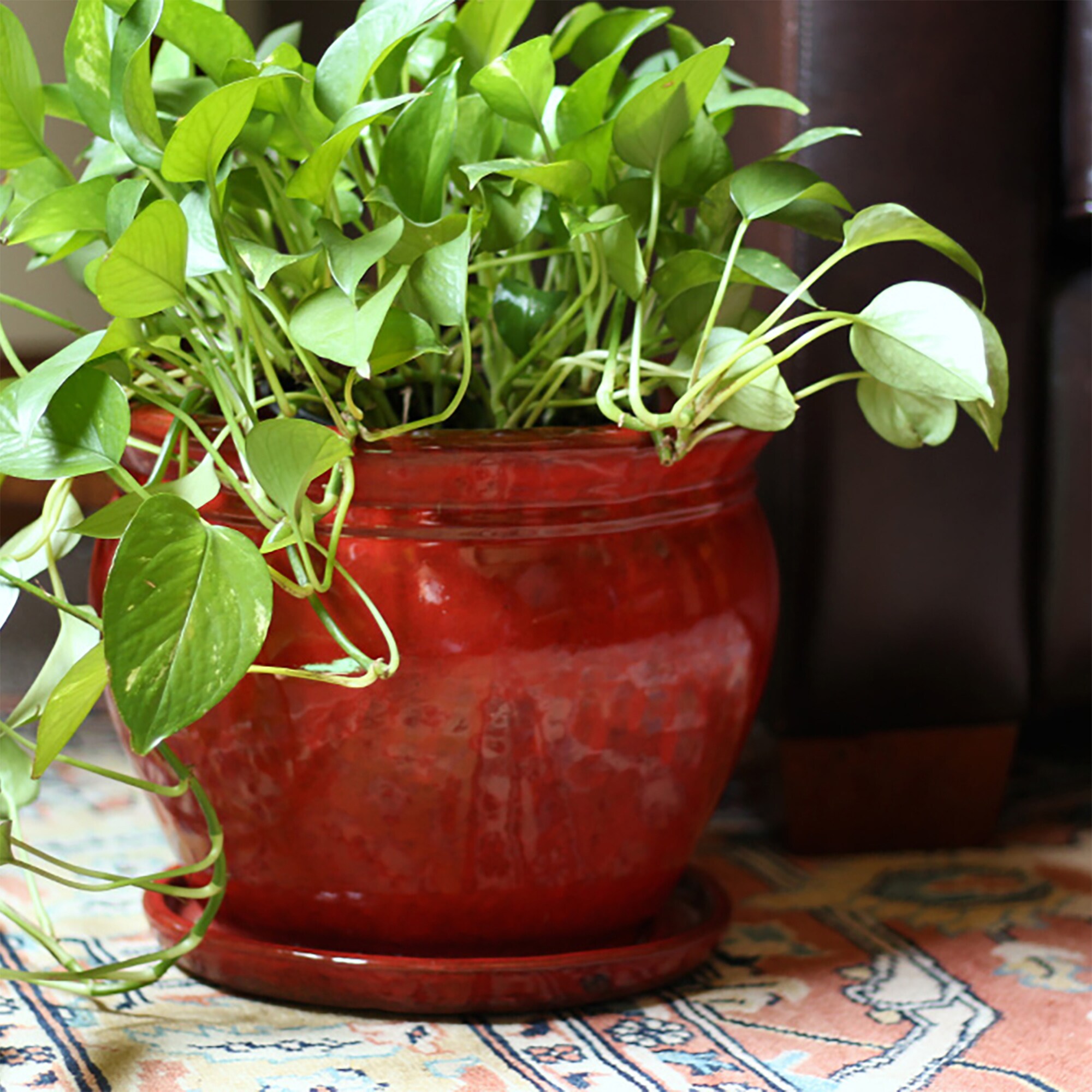 Southern Patio 4 X CRM-031055 Planter-Window-Box - View #7