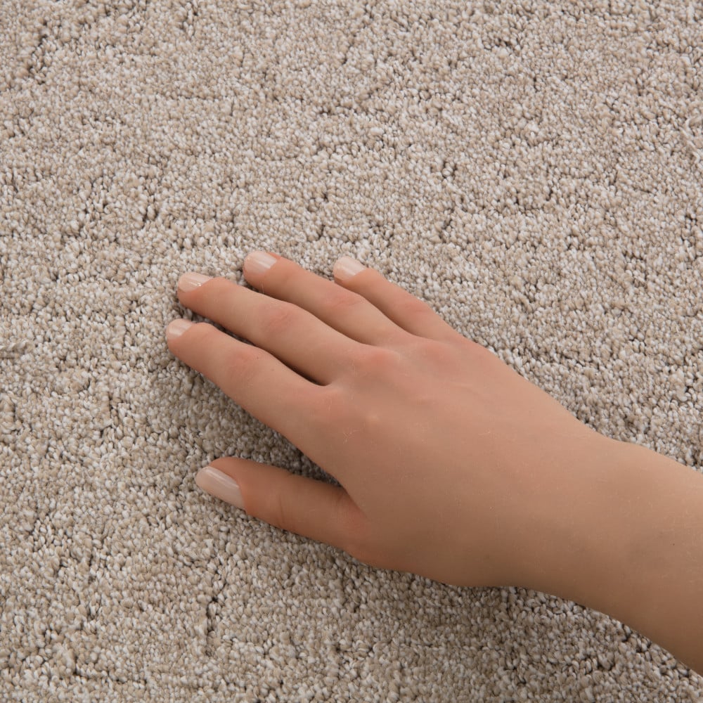 STAINMASTER PetProtect 7L945-720-SAMP Carpet-Samples - View #4