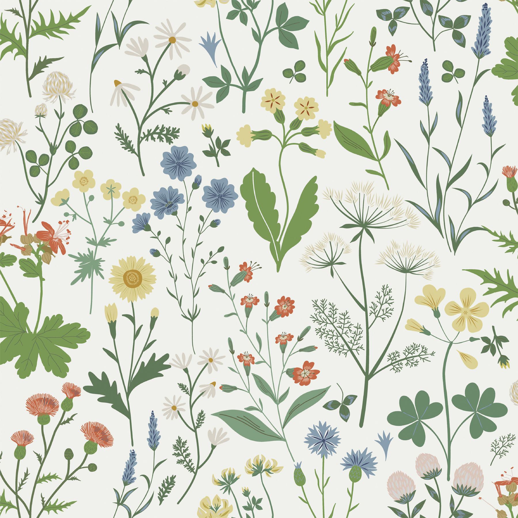 ESTA Home DD139390 Design Department 57.5-Sq. Feet Multicolor Non-woven Ivy/Vines Unpasted Wallpaper