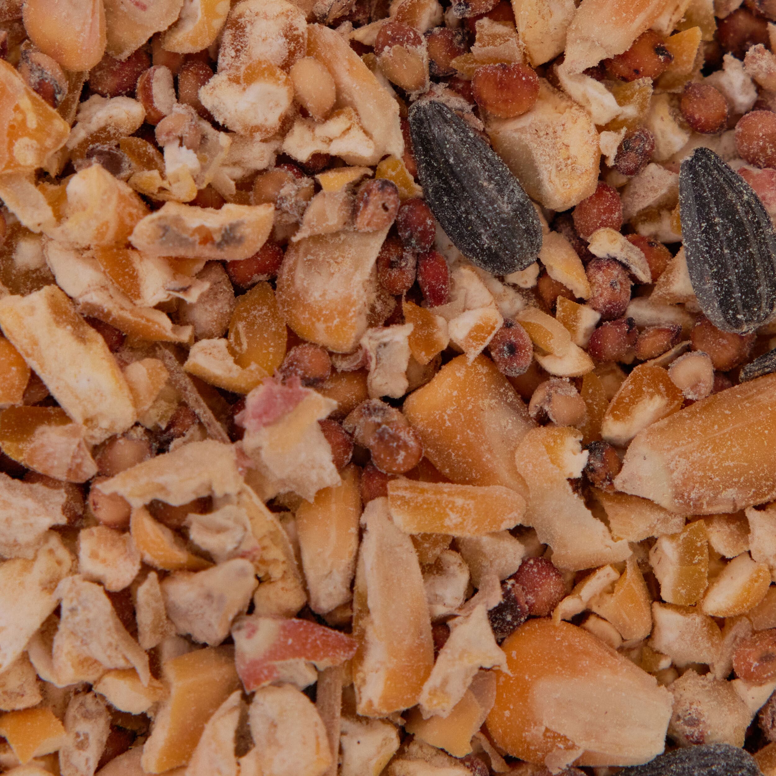 Red River Commodities 001691 Bird-Squirrel-Food - View #2