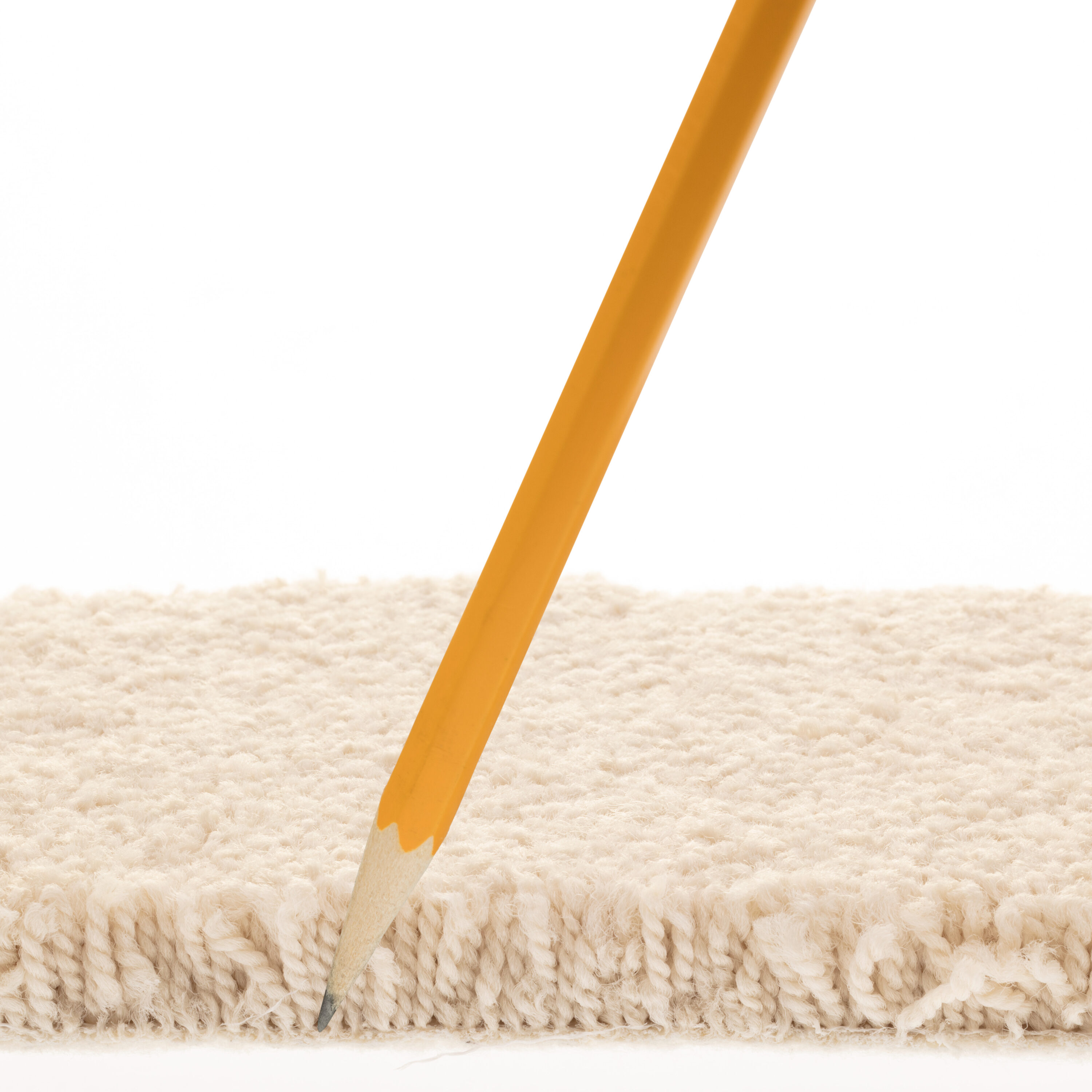 STAINMASTER PetProtect 7L882 - 102 - SAMP Carpet-Samples - View #7
