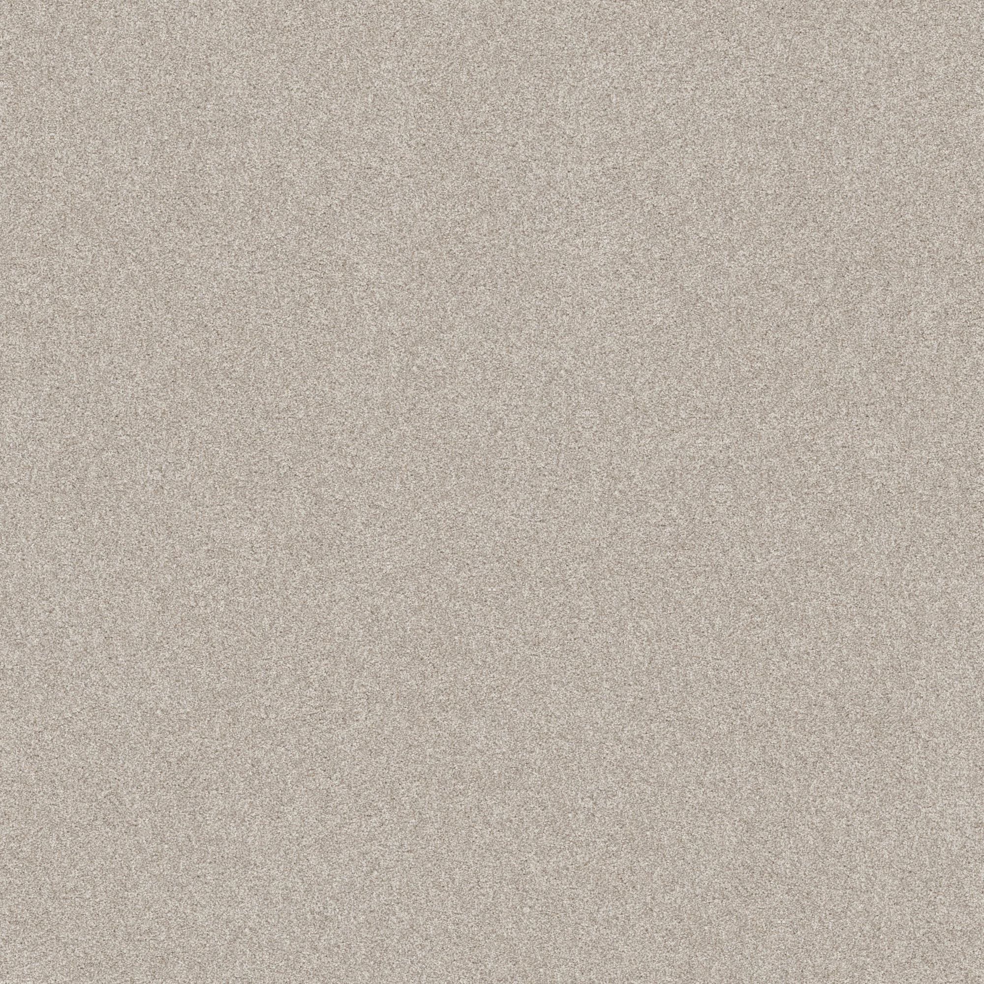 STAINMASTER 7L908 - 104 - SAMP (Sample) Paws Down III Split Sediment Brown 58.5-oz sq yard Nylon Textured Indoor Carpet
