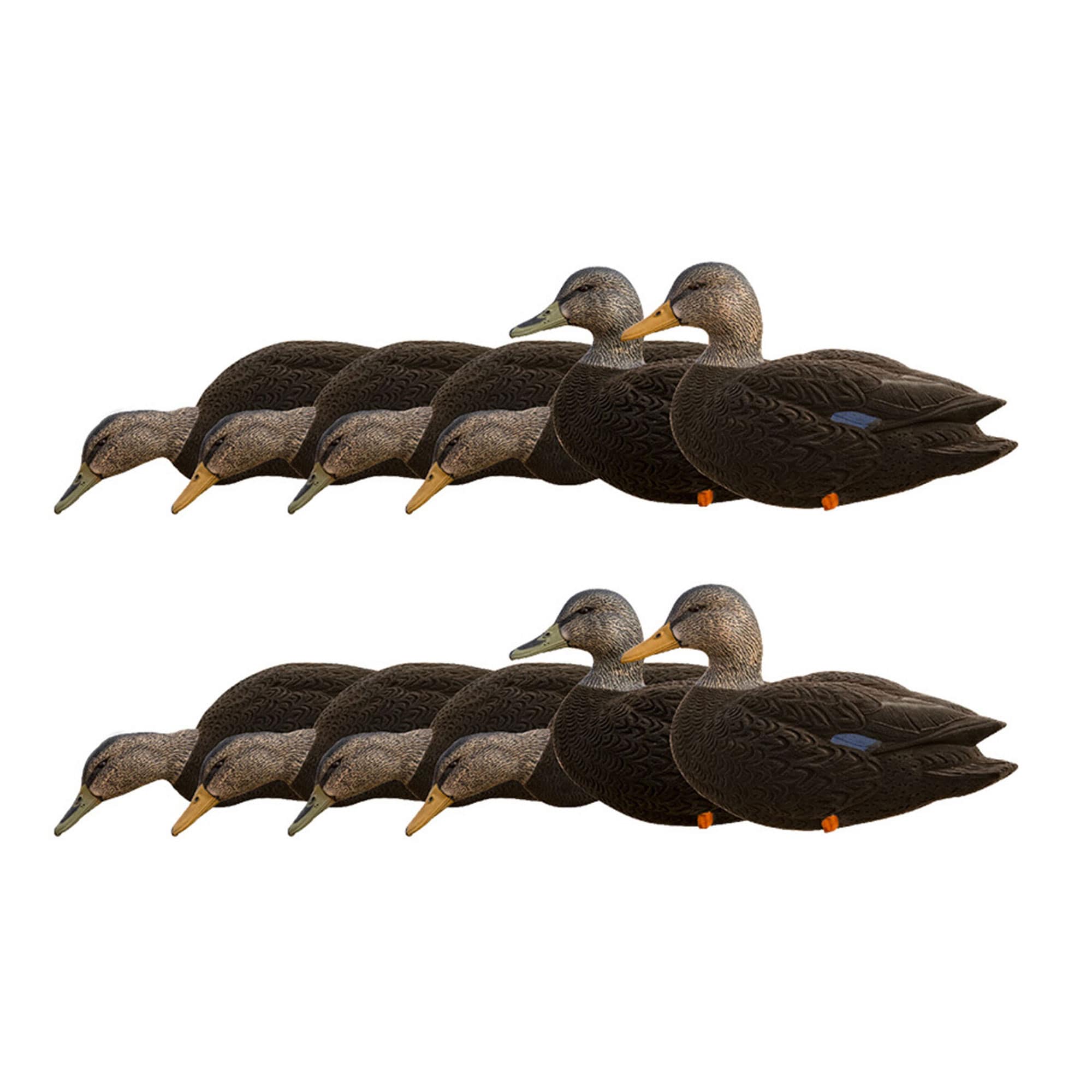  Avian X 408519 23.30 x 15 x 16 Inche(s) Decoy 12 -Pack