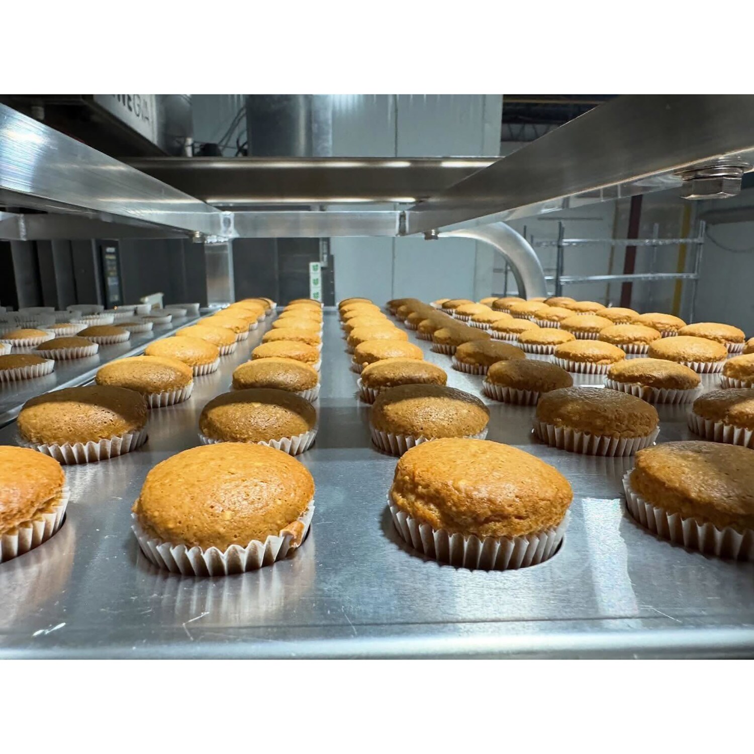 Wagging Dog Bakery G0860013083724 Dog-Treats - View #17