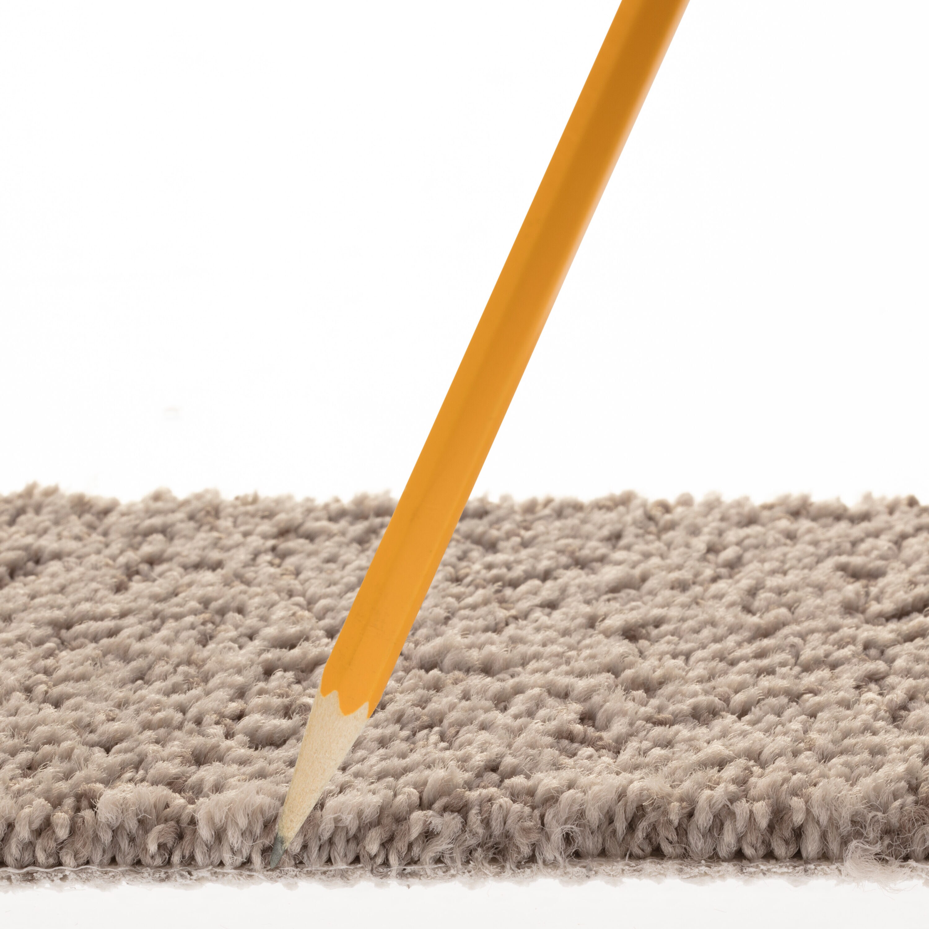 STAINMASTER PetProtect 7L884 - 503 - SAMP Carpet-Samples - View #7