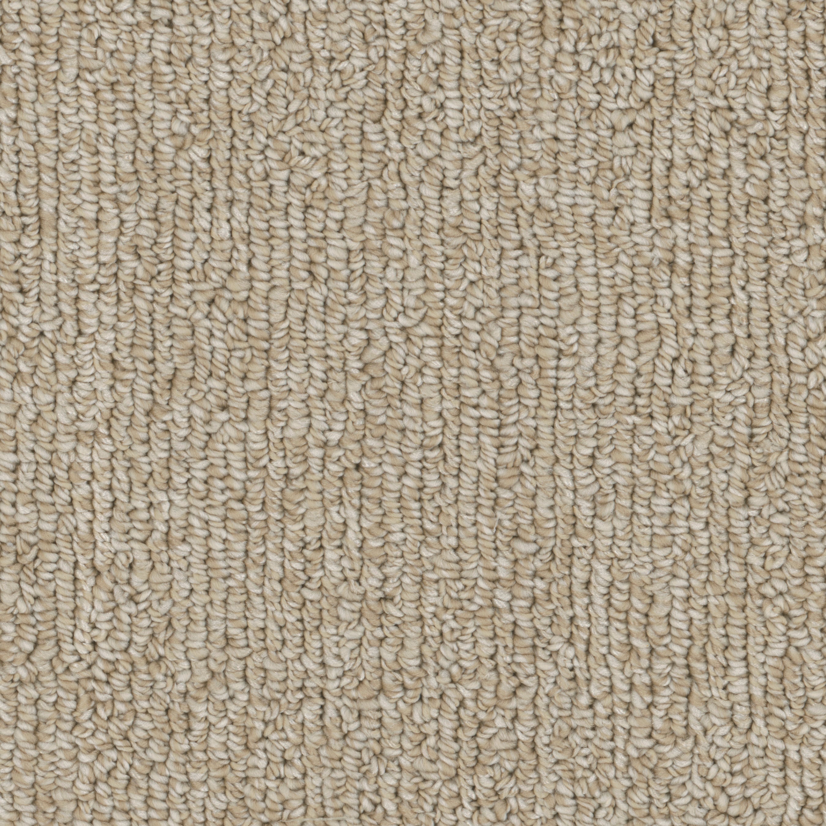 STAINMASTER Tailored Sophisticated Multi-Colored 46-oz sq yard ...