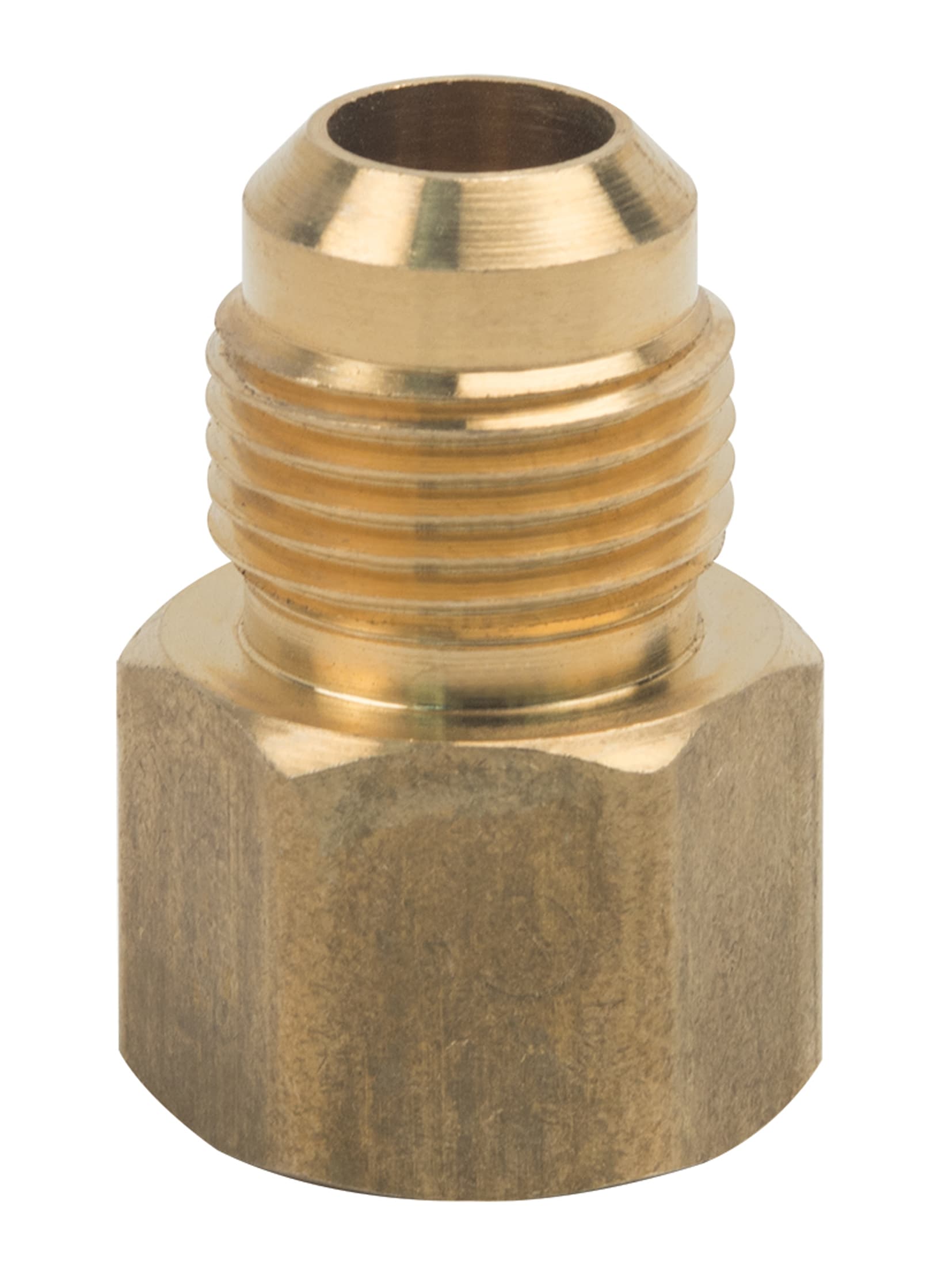 BrassCraft 46-8-8X P 1/2-in x 1/2-in Threaded Adapter Fitting