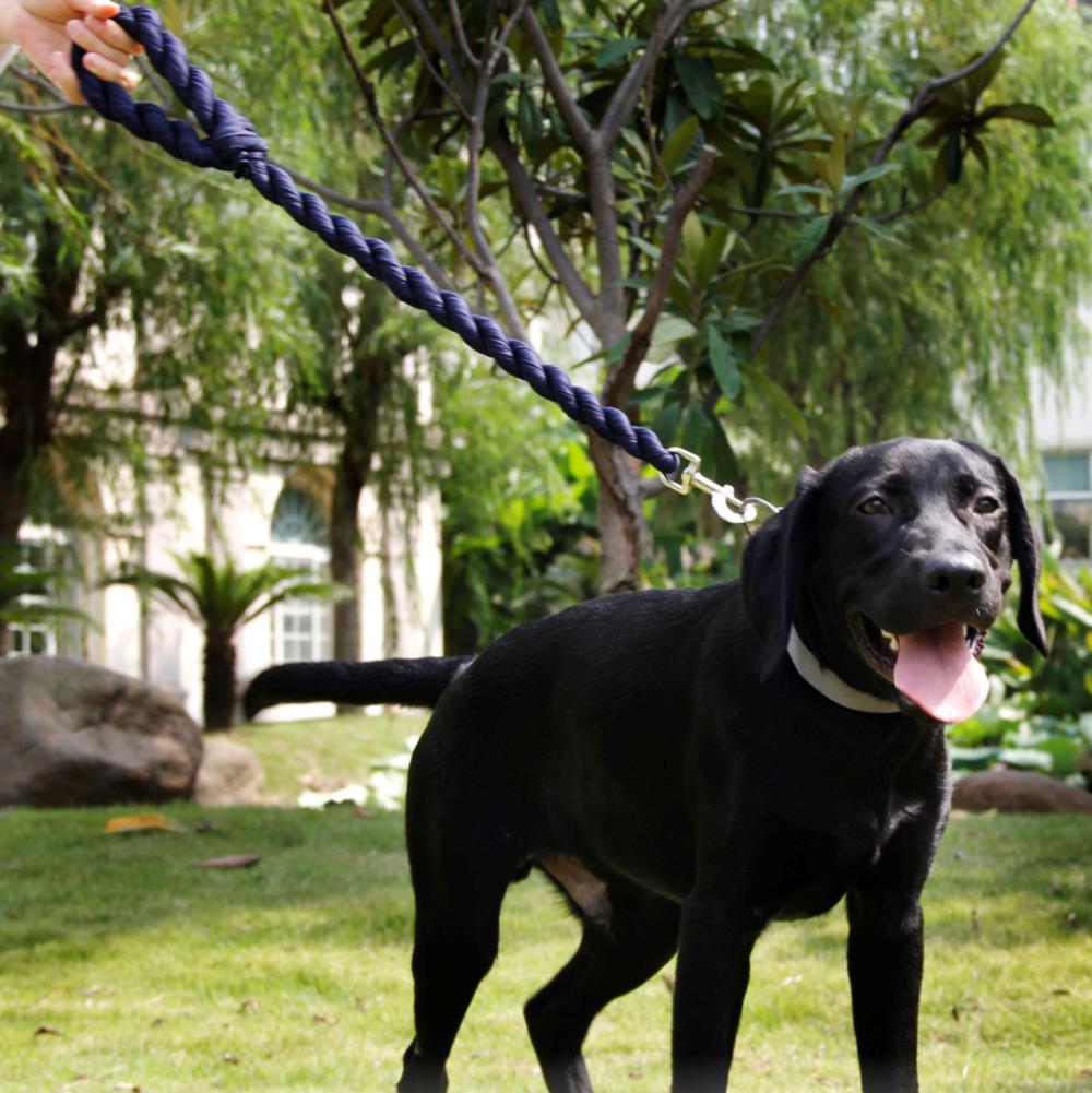 Pet Life LS10BL Leashes-Leads - View #7