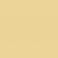 Non-Lacquered Brass
