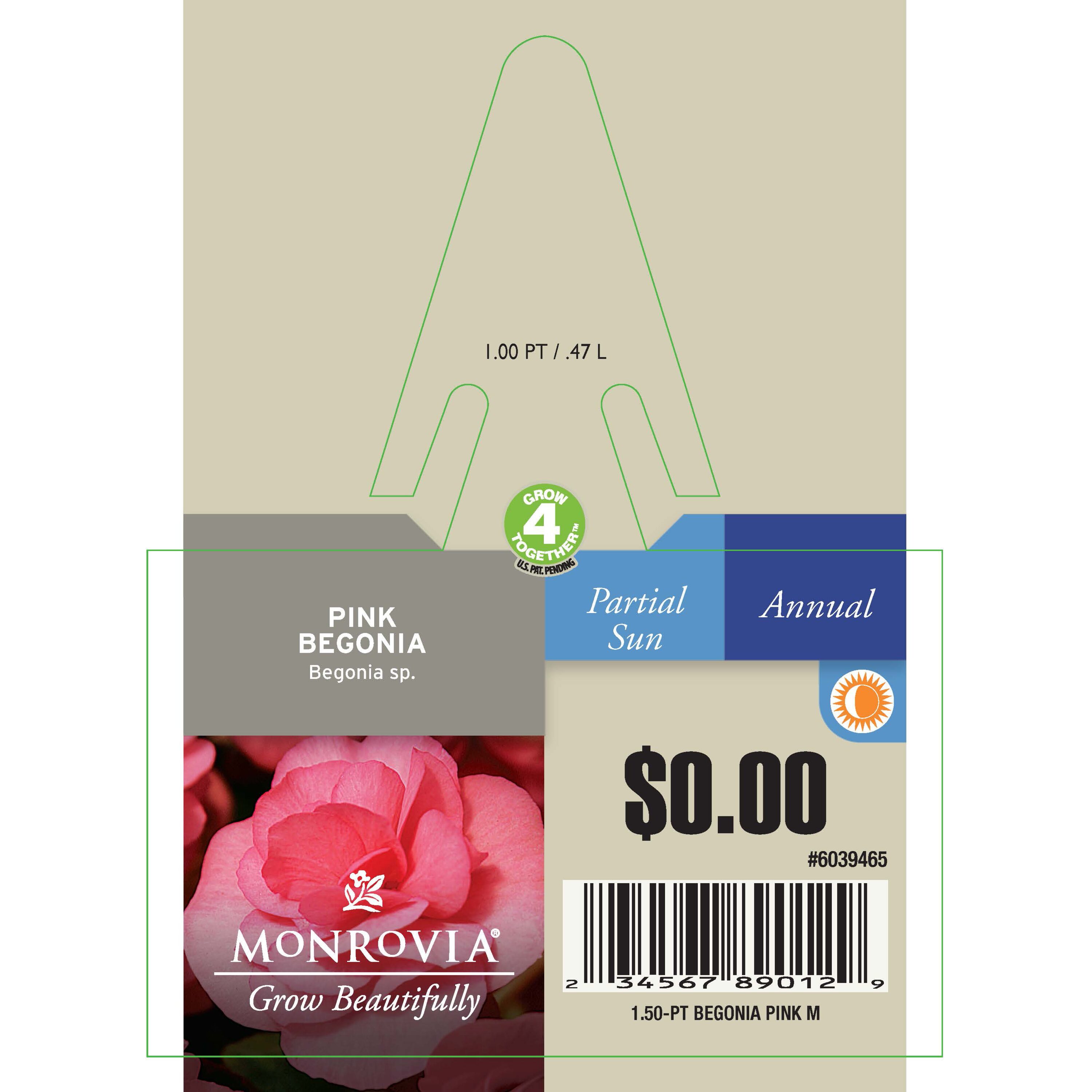  6039465 annuals - View #3