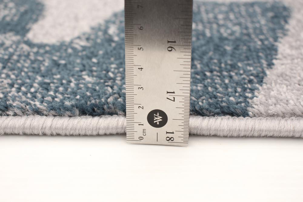 ECARPETGALLERY 315474 rugs - View #6