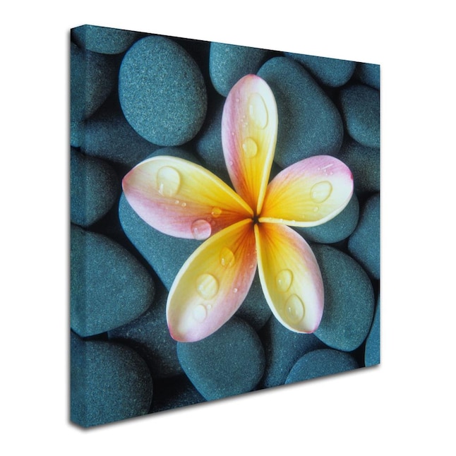 Trademark Fine Art Framed 35-in H x 35-in W Floral Print on Canvas in ...