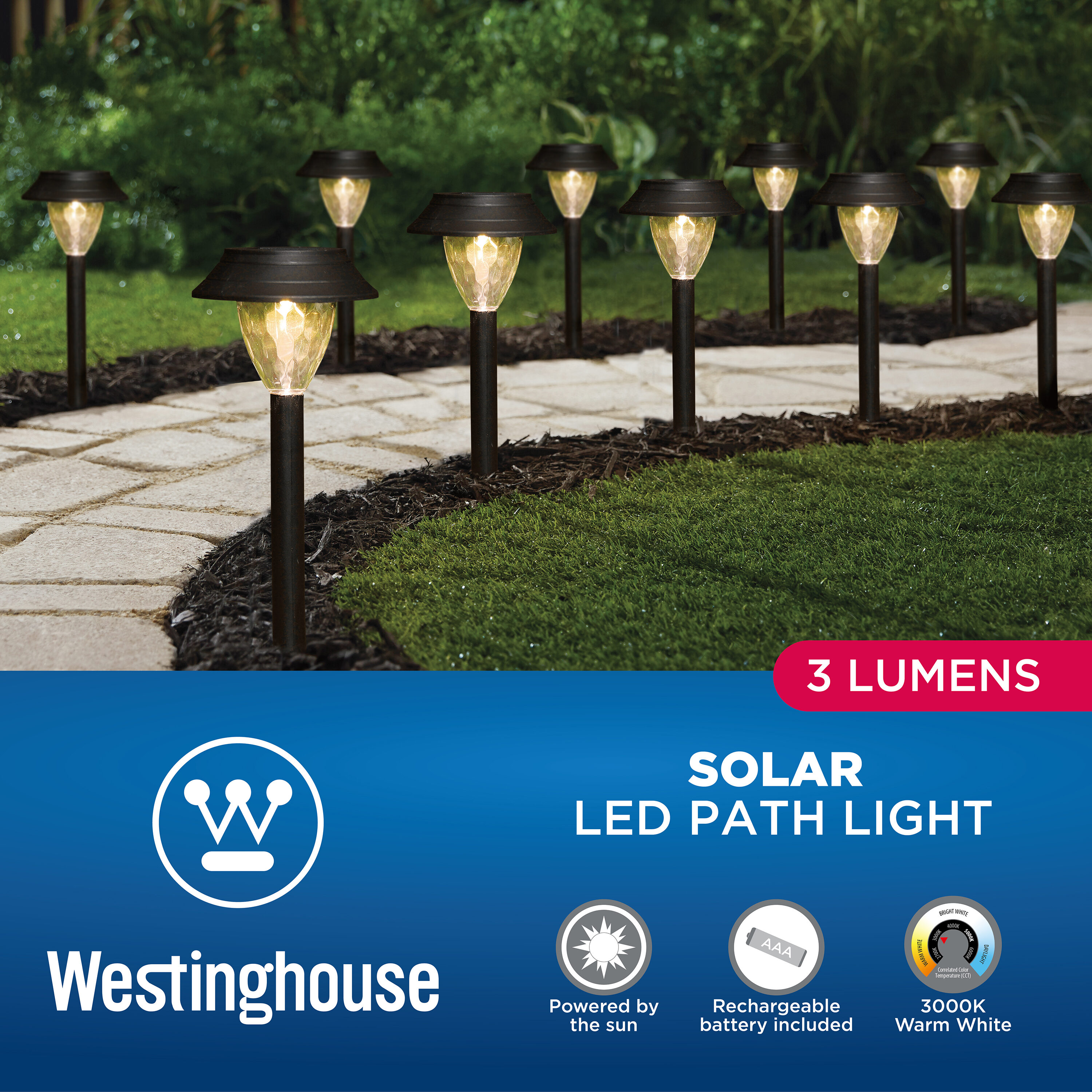 Westinghouse 10-Pack 3-Lumen Black Solar LED Outdoor Path Light (3000 K) in  the Path Lights department at