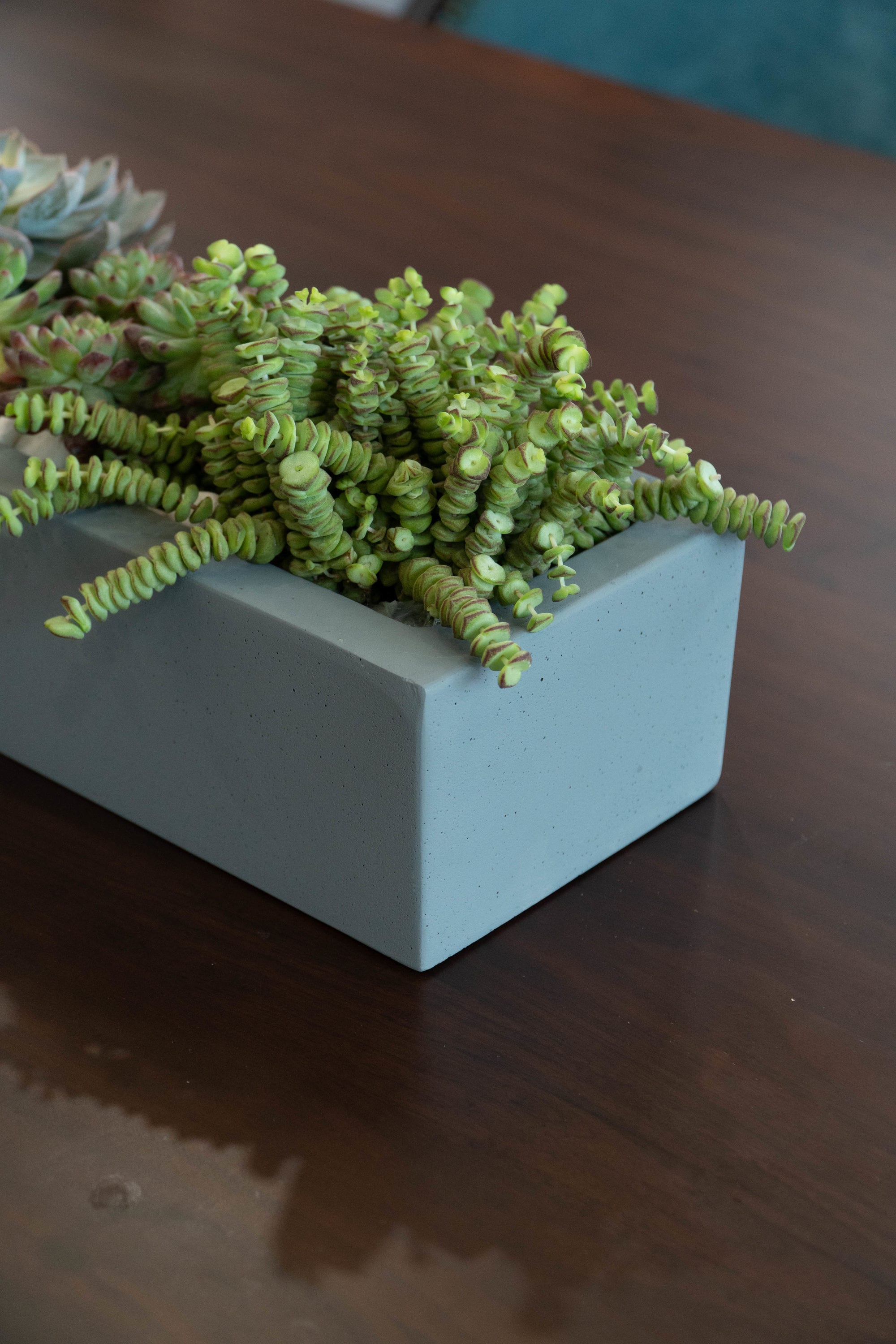 Vasesource CARLO4632CM Planter-Window-Box - View #9
