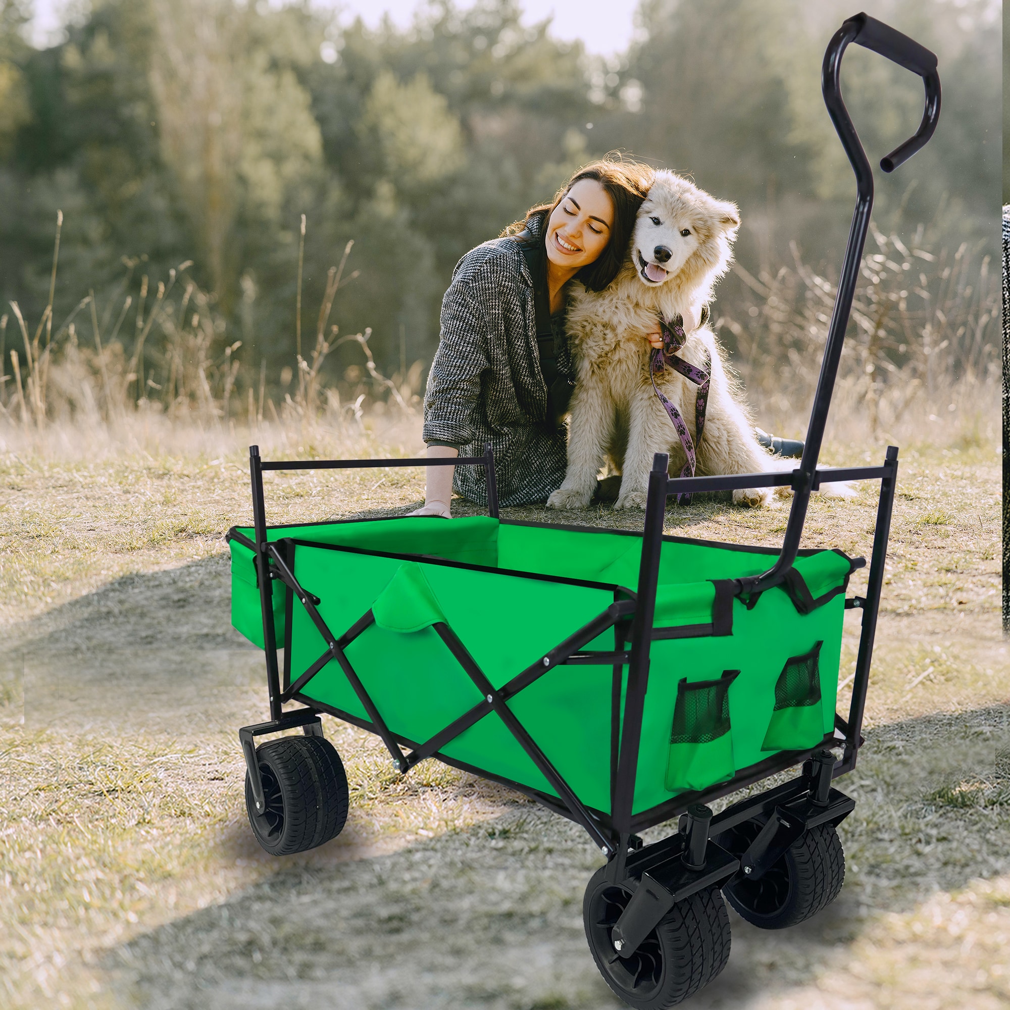AHIOU HOME ZAAHG-115013C Yard-Carts - View #3