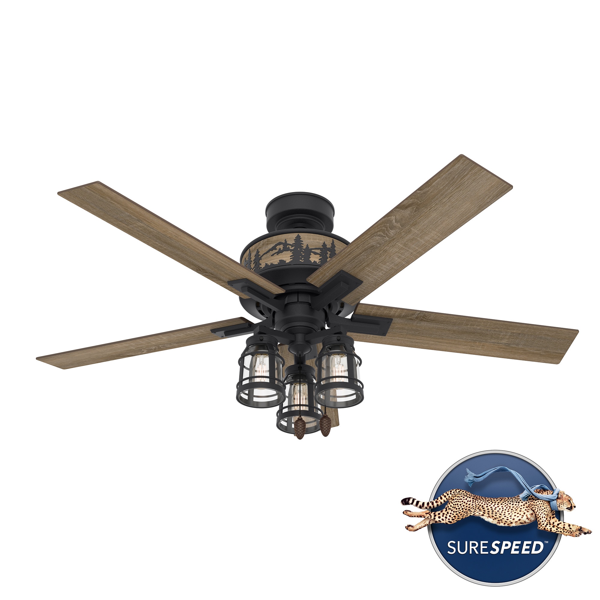 Hunter Vista 52-in Natural Iron Indoor Ceiling Fan with Light (5-Blade) in  the Ceiling Fans department at